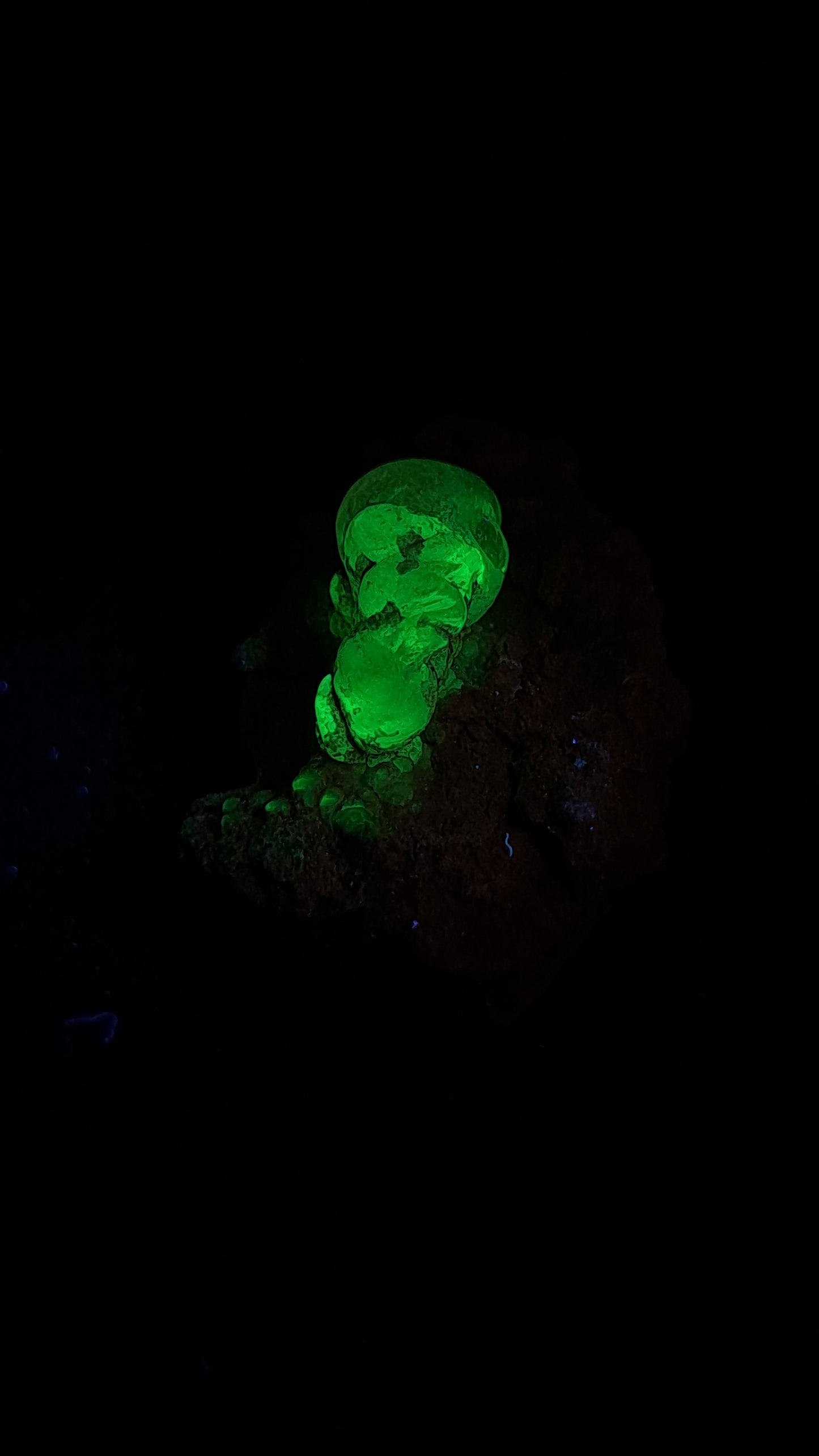 Hyalite Opal on Matrix (Mexico) Rough Crystal Stone | UV-Reactive Mineral Specimen #OH5