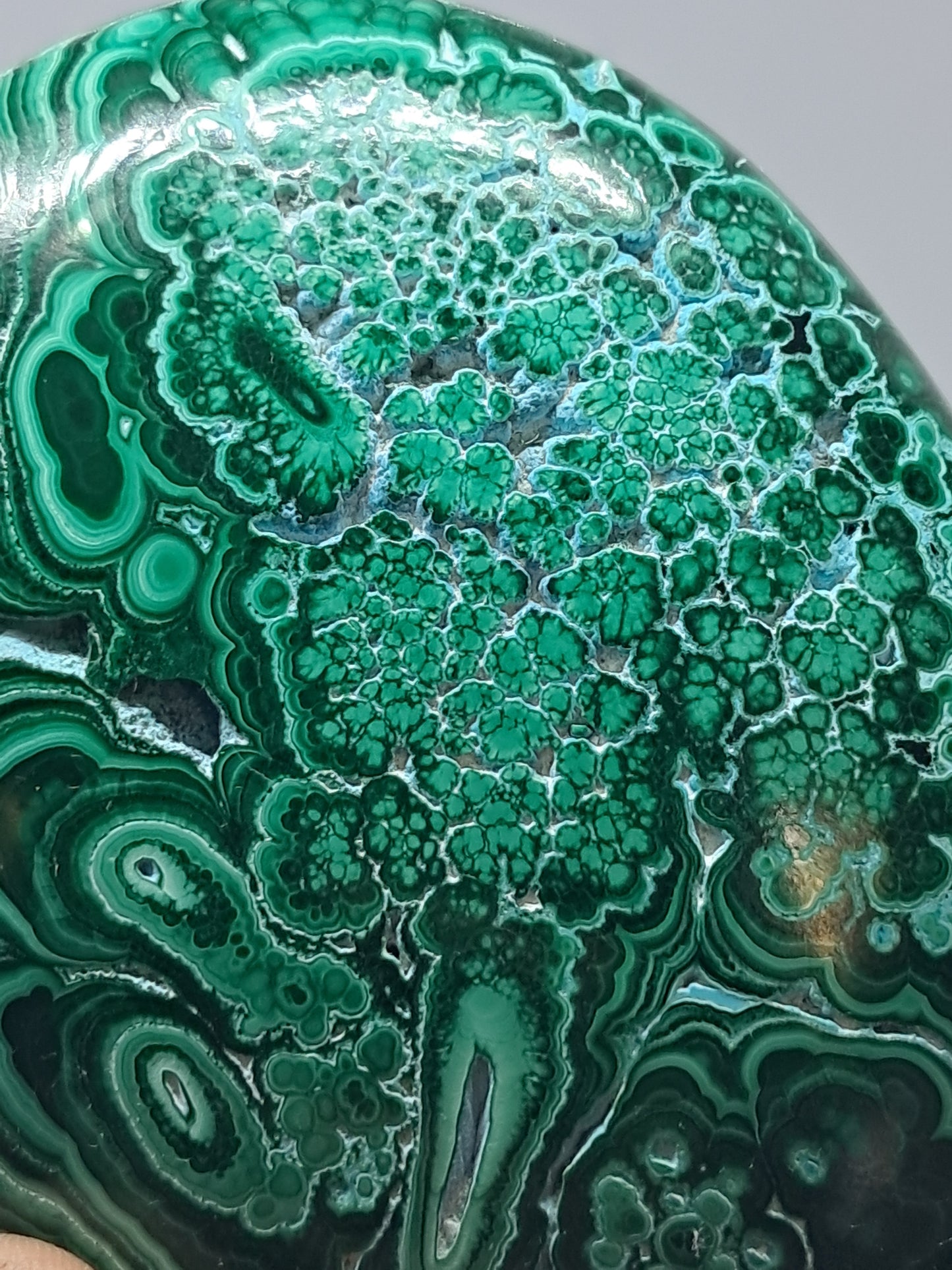 Malaquita con crisocola | Mitad pulida, mitad bruta | Piedra natural | Tamaño grande | Hermosos diseños #CM18