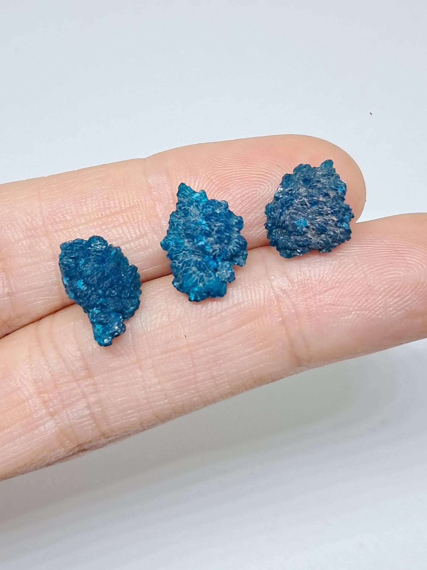 Juego de 3 flores de cavansita de alta calidad (wagholi) en bruto | Cristal natural | Ejemplar mineral raro n.° CV44