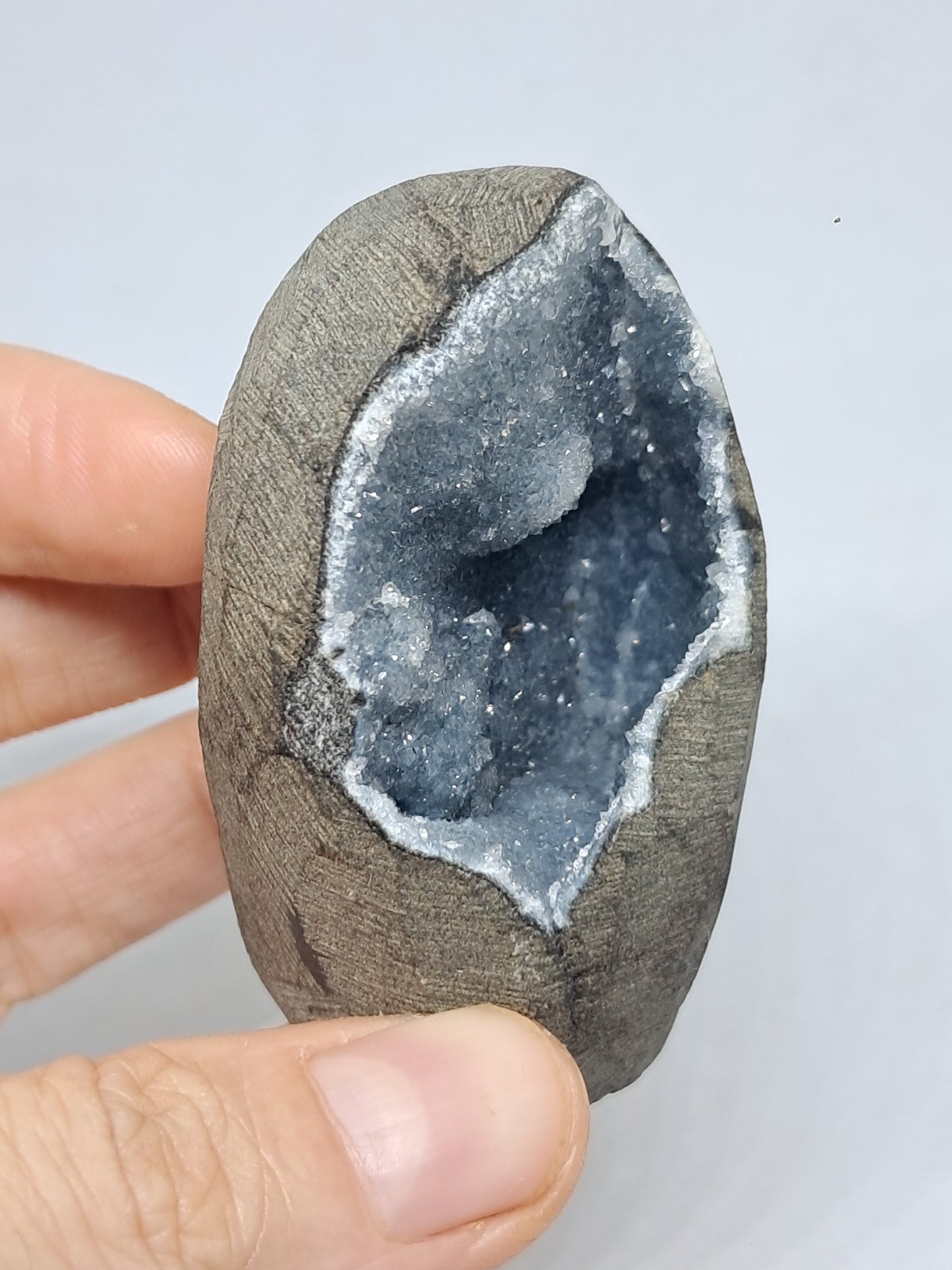 Grey / Blue Chalcedony in Basalt Geode (Nashik) | Natural Crystal | Rare Mineral #BC12