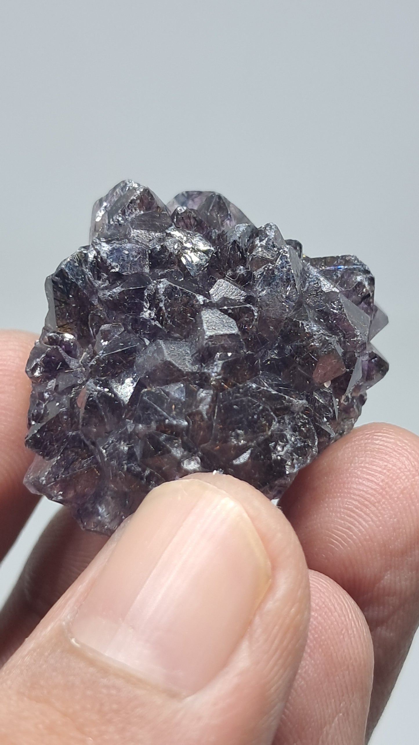 Amatista Elestial Morada Oscura sobre Cuarzo | Inclusiones de Hematita Goethita Rutilo | Cristal Natural | Muestra Mineral #KA194