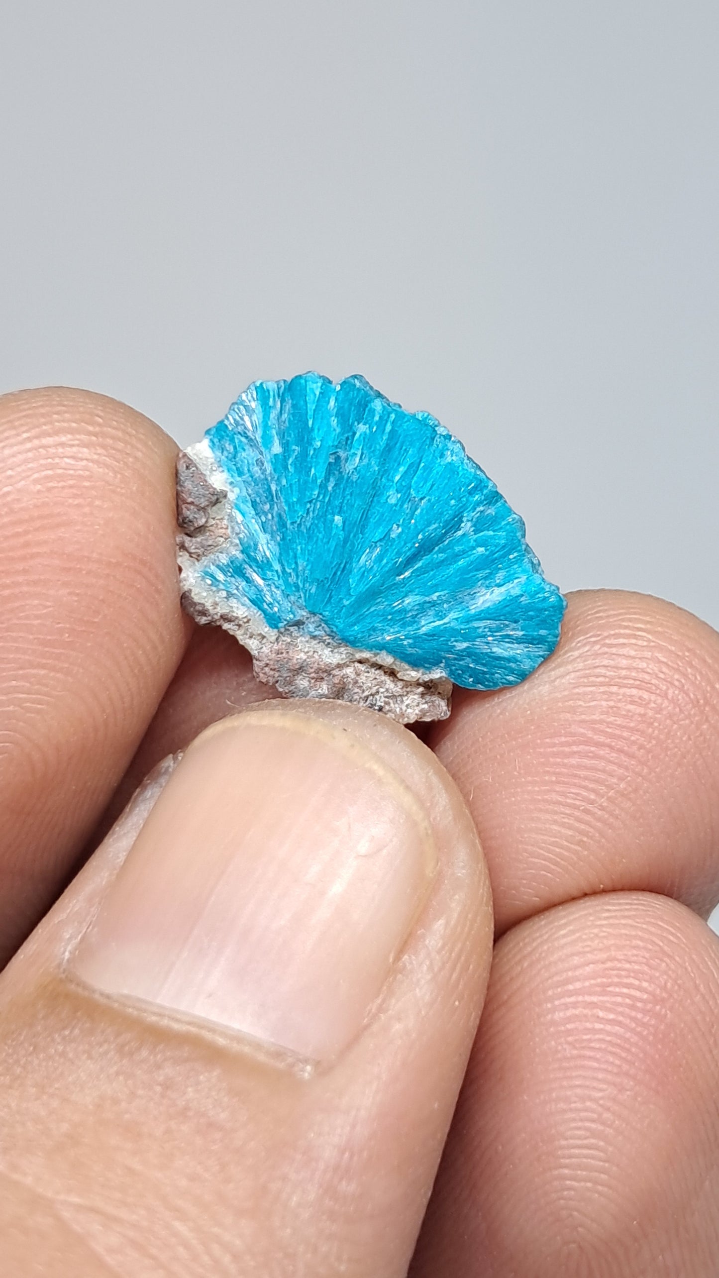 Cavansita sobre matriz (Wagholi) Cristal en bruto | Piedra natural | Ejemplar de mineral raro #CV64