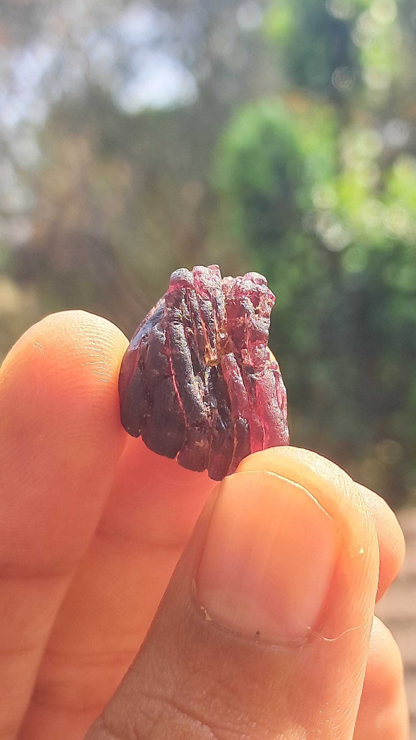 Granate Rojo (Karur) | Pulido por el río | Piedra Natural #RG6