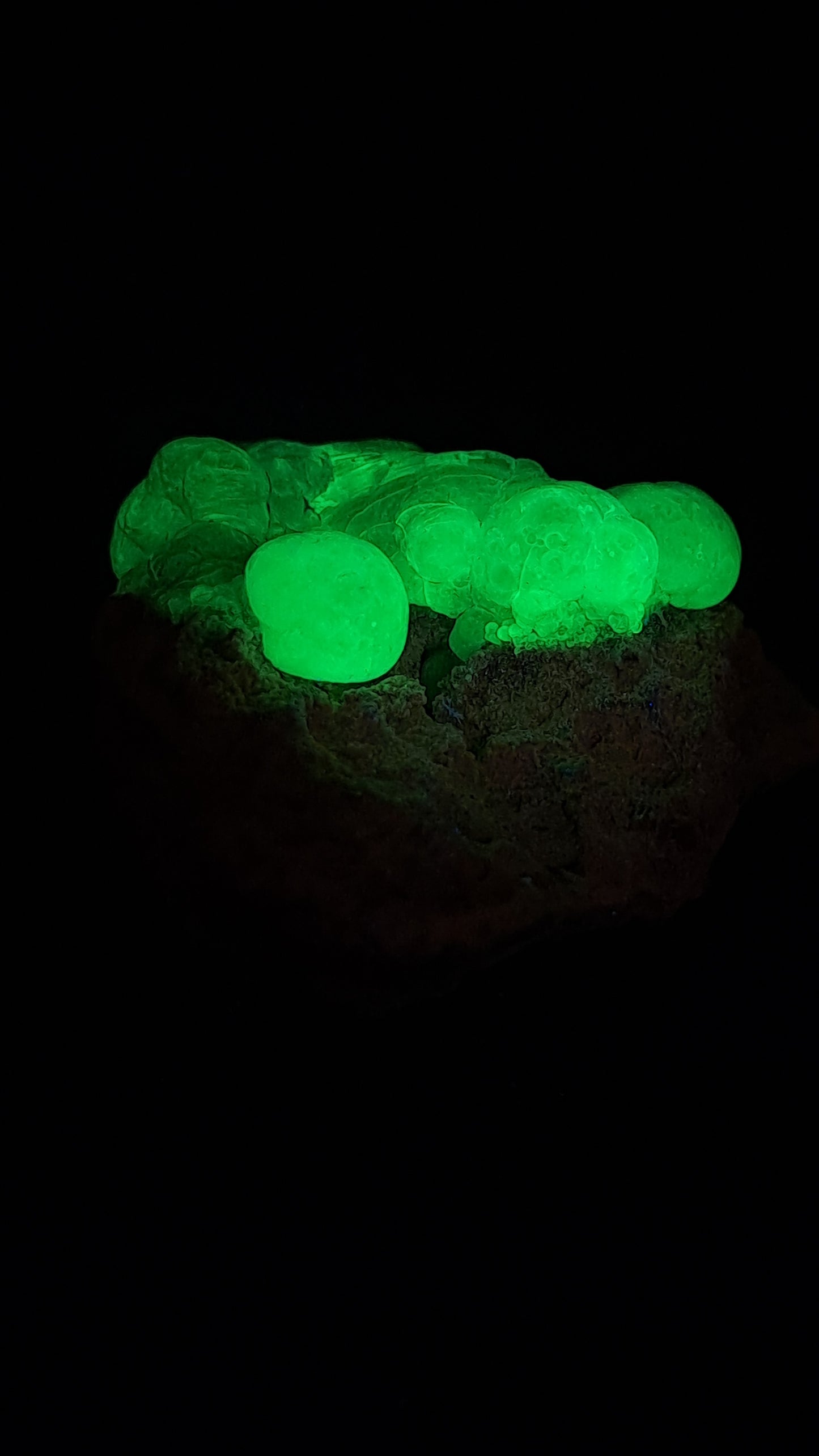 Hyalite Opal on Matrix (Mexico) Rough Crystal Stone | UV-Reactive Mineral Specimen #OH2