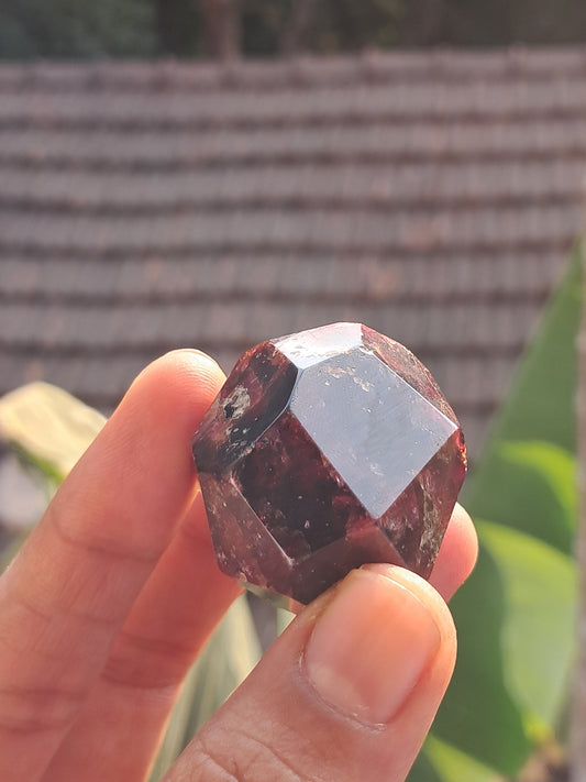 Red Garnet Natural Shape | Polished Stone #GR1