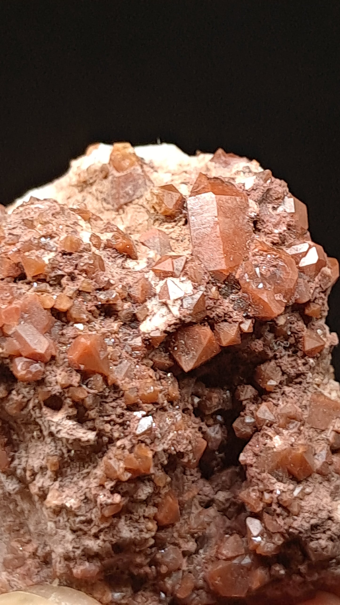 Jacinto de Compostela Quartz Cluster On Matrix | Natural Crystal | Mineral Specimen #JCQ8