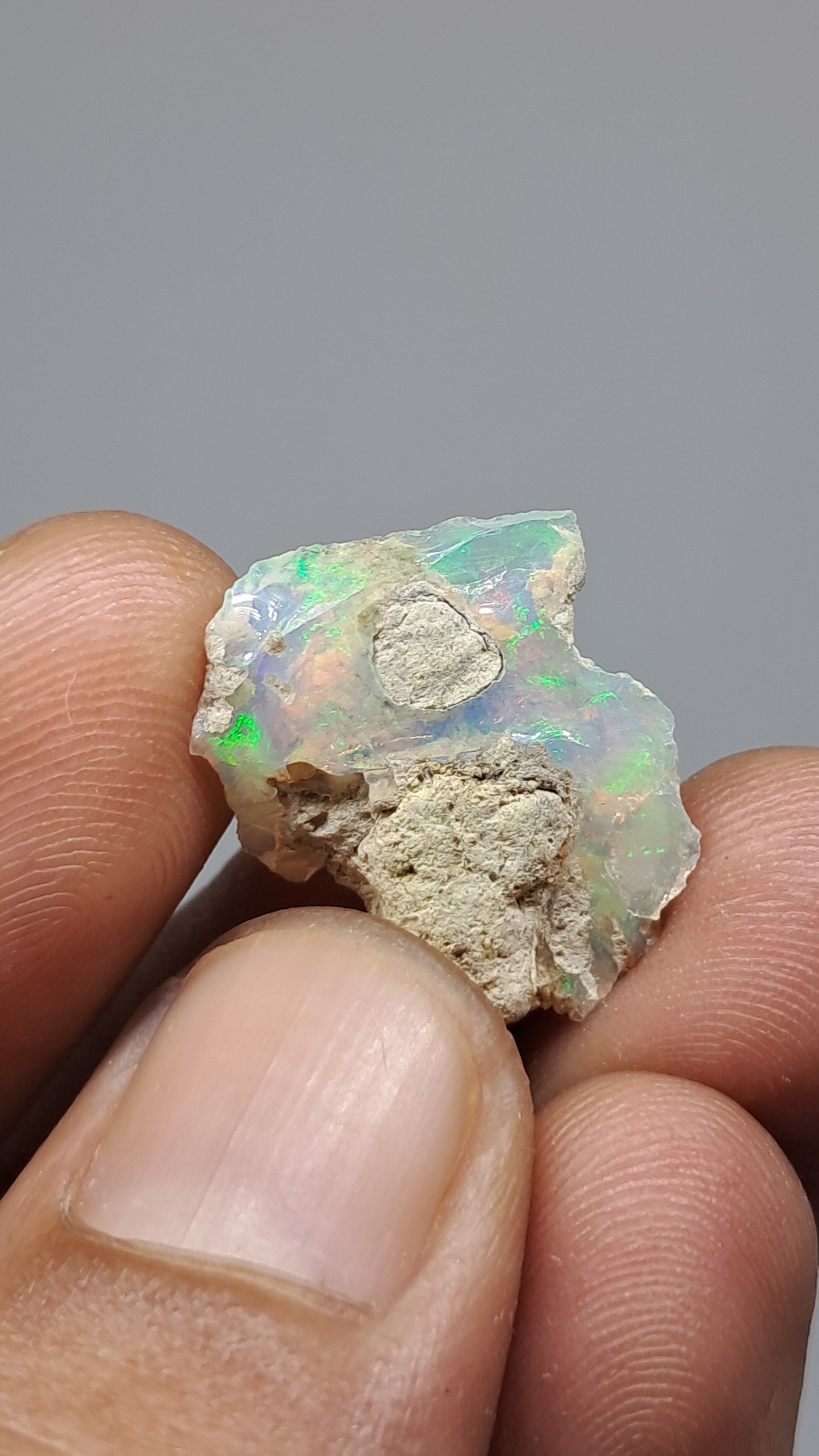 Natural Ethiopian Opal Rough | White Hydrophane Opal with Bright Play of Color #OP19