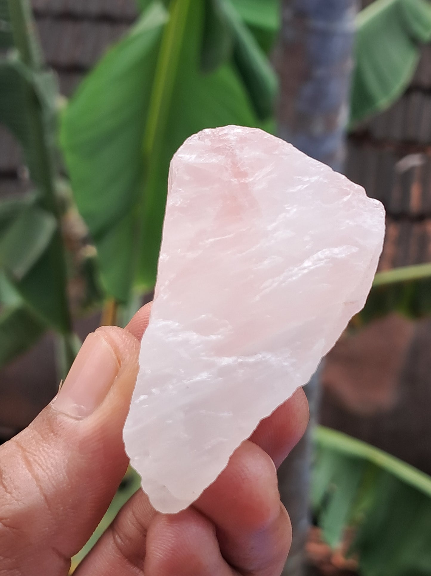 Rose Quartz (Rajasthan) Rough Stone | Natural Gemstone #RQ12