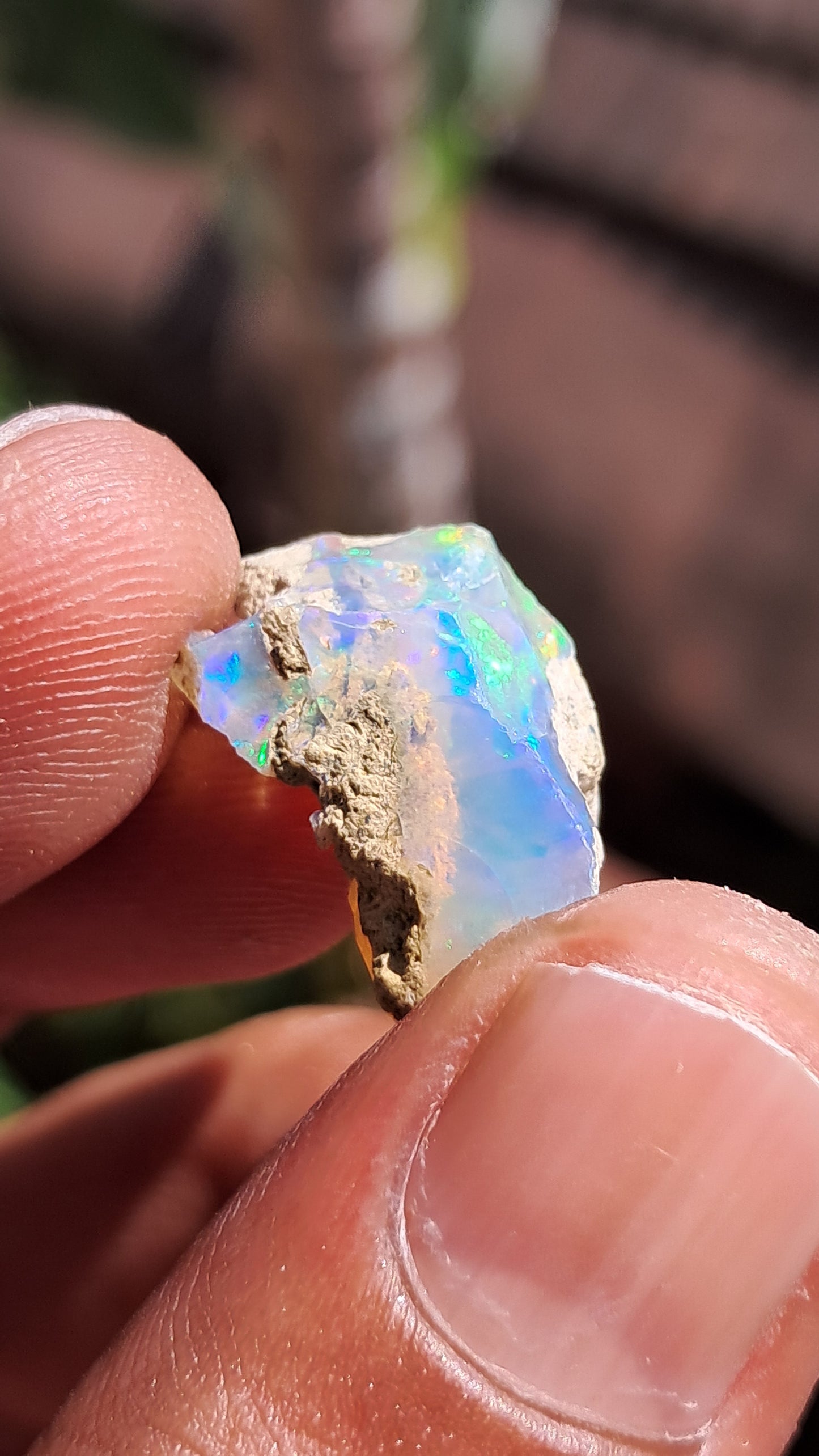 Natural Ethiopian Opal Rough | White Hydrophane Opal w/ Bright Play of Color #OP1
