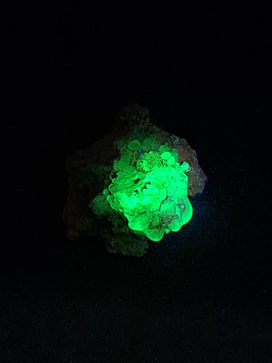 Hyalite Opal on Matrix (Mexico) Rough Crystal Stone | UV-Reactive Mineral Specimen #OH15