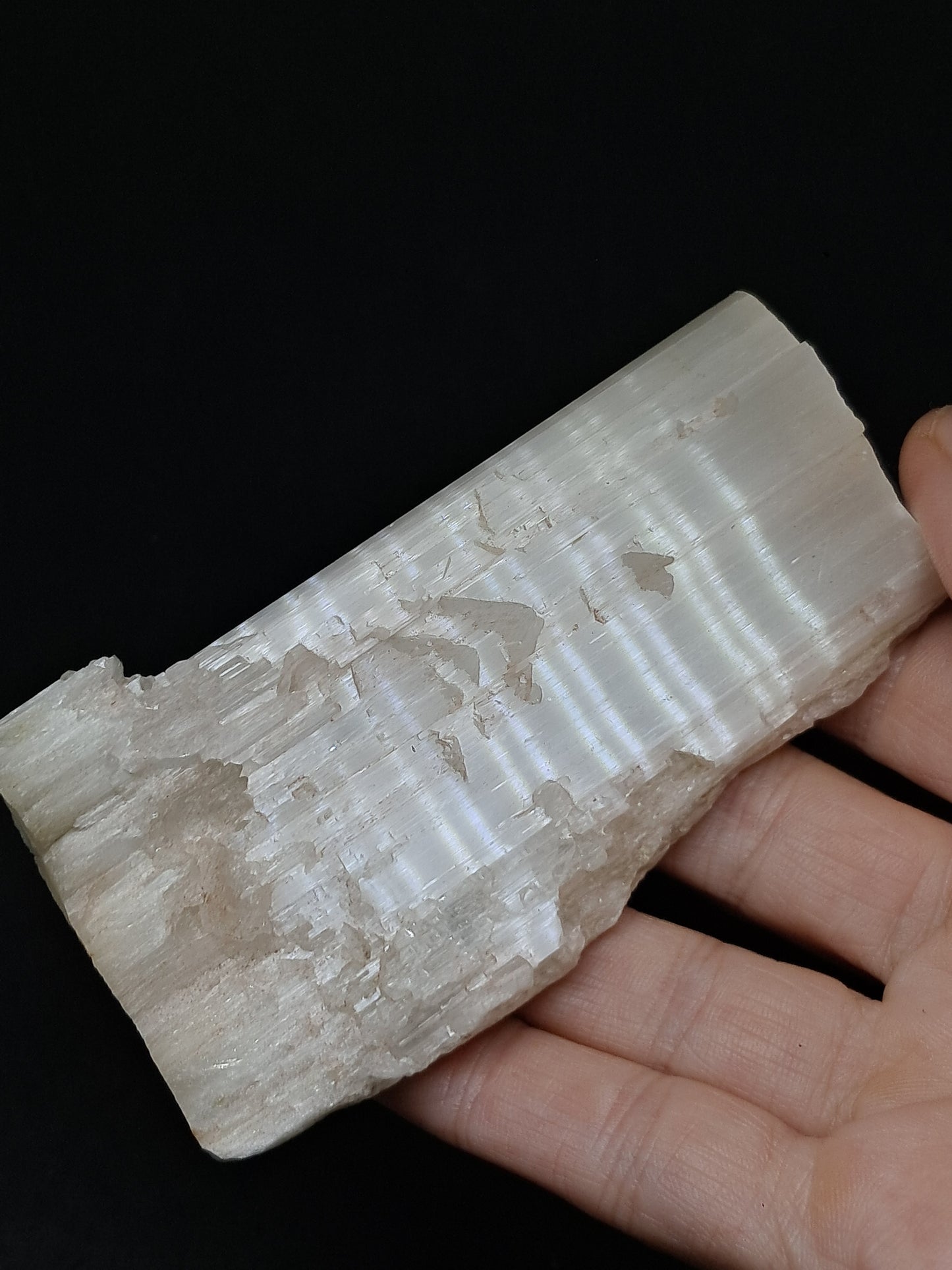 Satin Spar *Selenite* (India) Fibrous Gypsum | Mineral Specimen | Rough Crystal #SE1