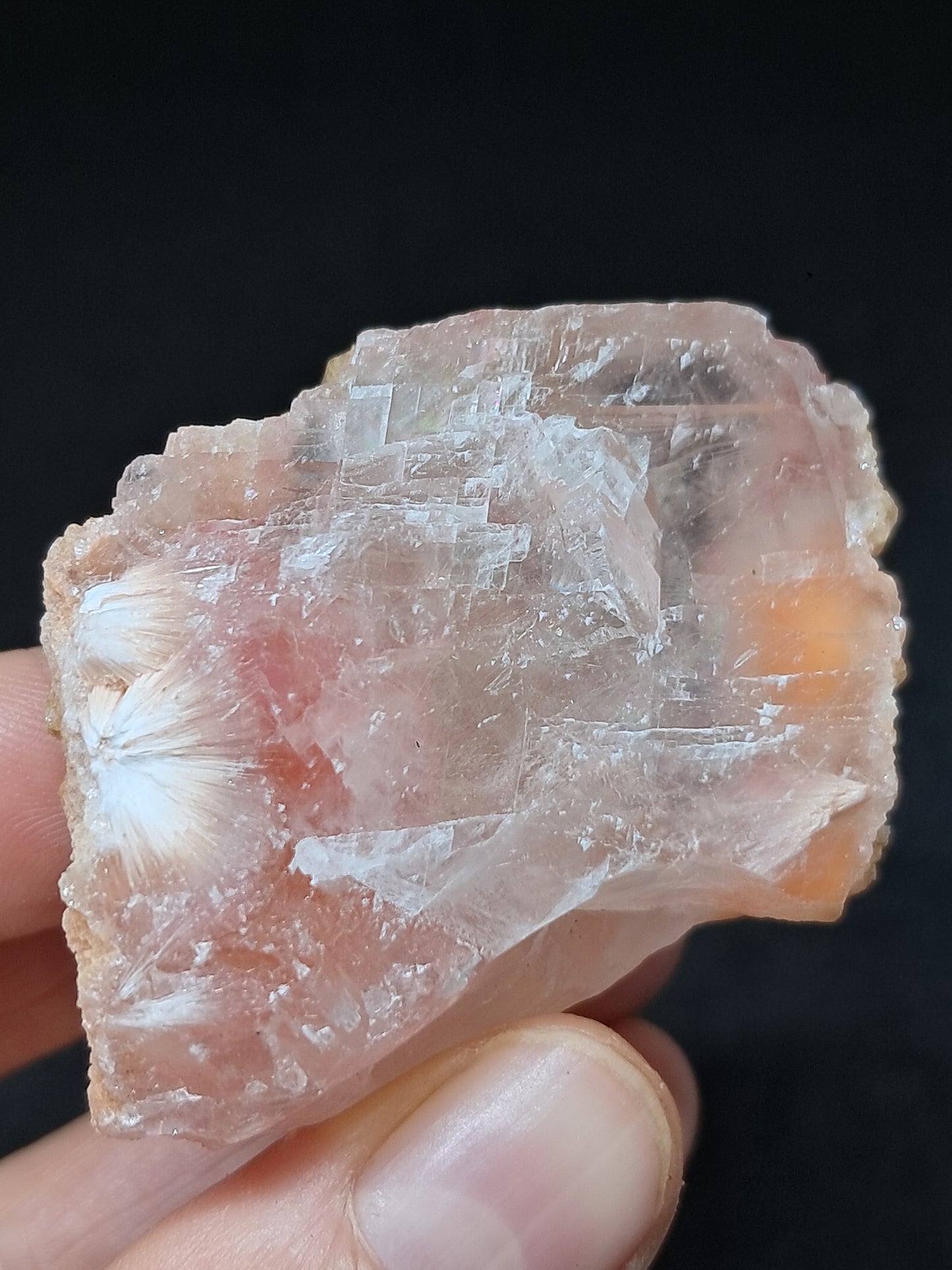 Calcita rojiza/rosa con mesolita *Hallazgo raro* (Pithampur) Cristal natural | Piedra en bruto | Muestra de mineral #CA30