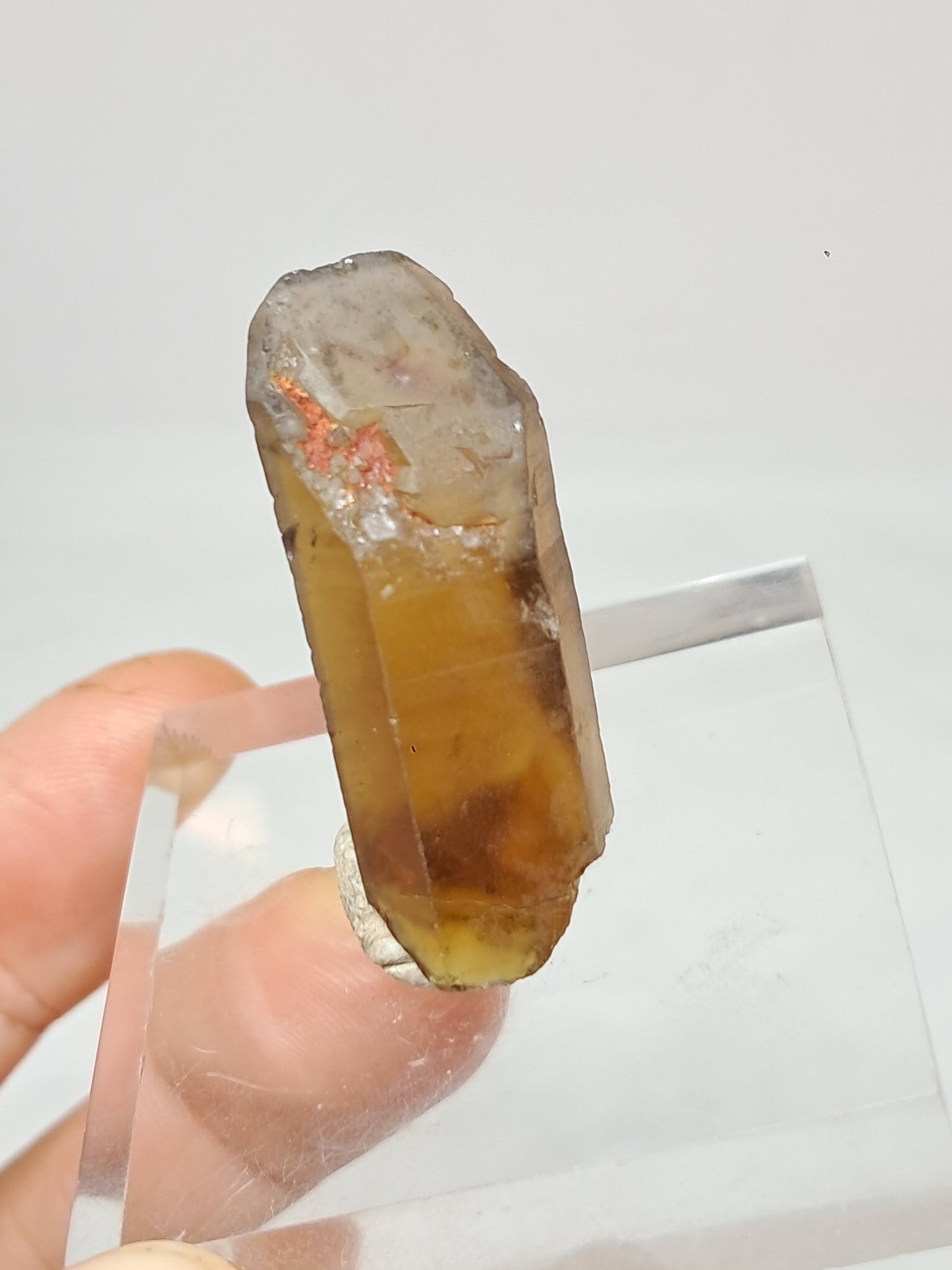 Natural Citrine Crystal (Democratic Republic of Congo) #CTN28