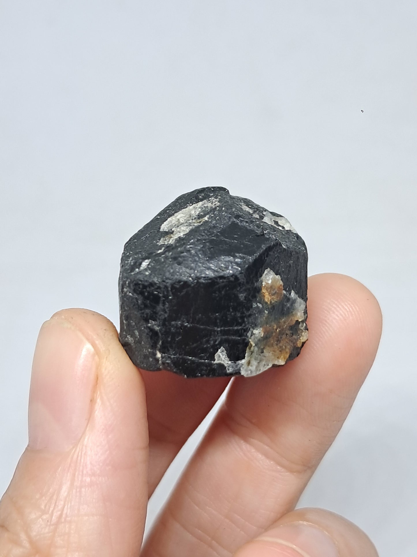 Black Tourmaline Crystal (Karnataka) Naturally Terminated | Natural Stone | Mineral Specimen #BT8