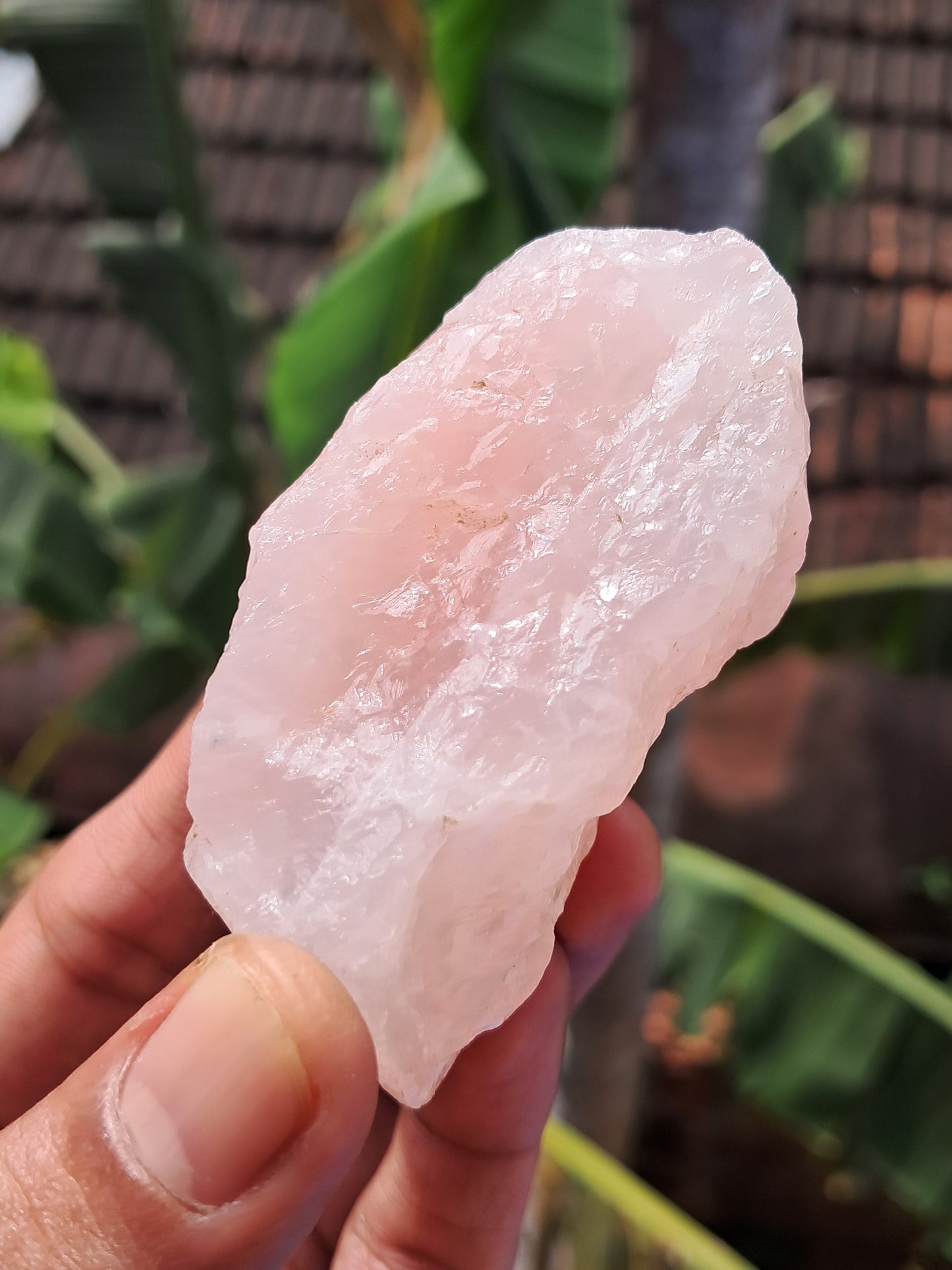 Rose Quartz (Rajasthan) Rough Stone | Natural Gemstone #RQ9