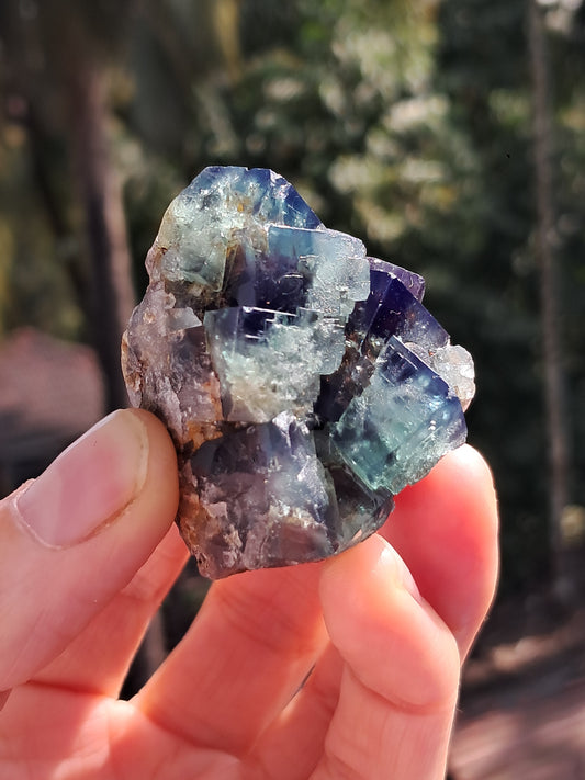 Bicolor Fluorite on Matrix (Durham, UK) Natural Crystal | Mineral Specimen #FL4