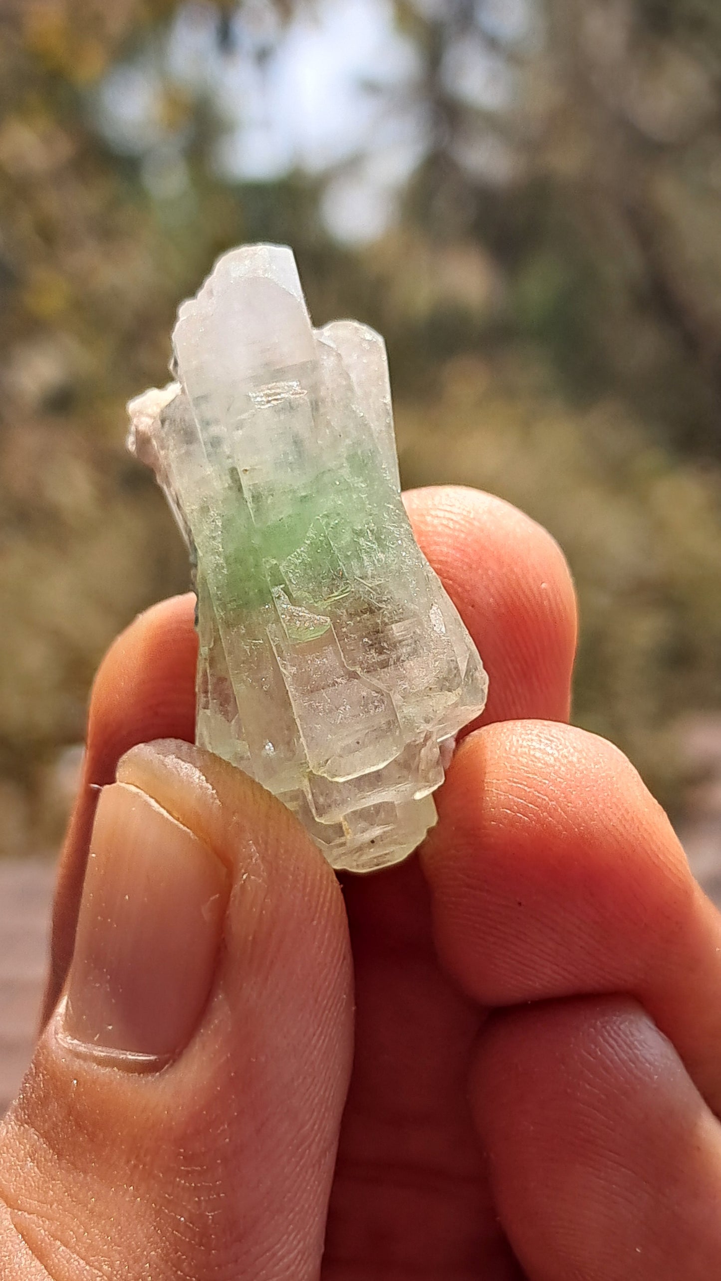Green Apophyllite (Fluorapophyllite) (Ajanta) Natural Crystal | Mineral Specimen #GA31