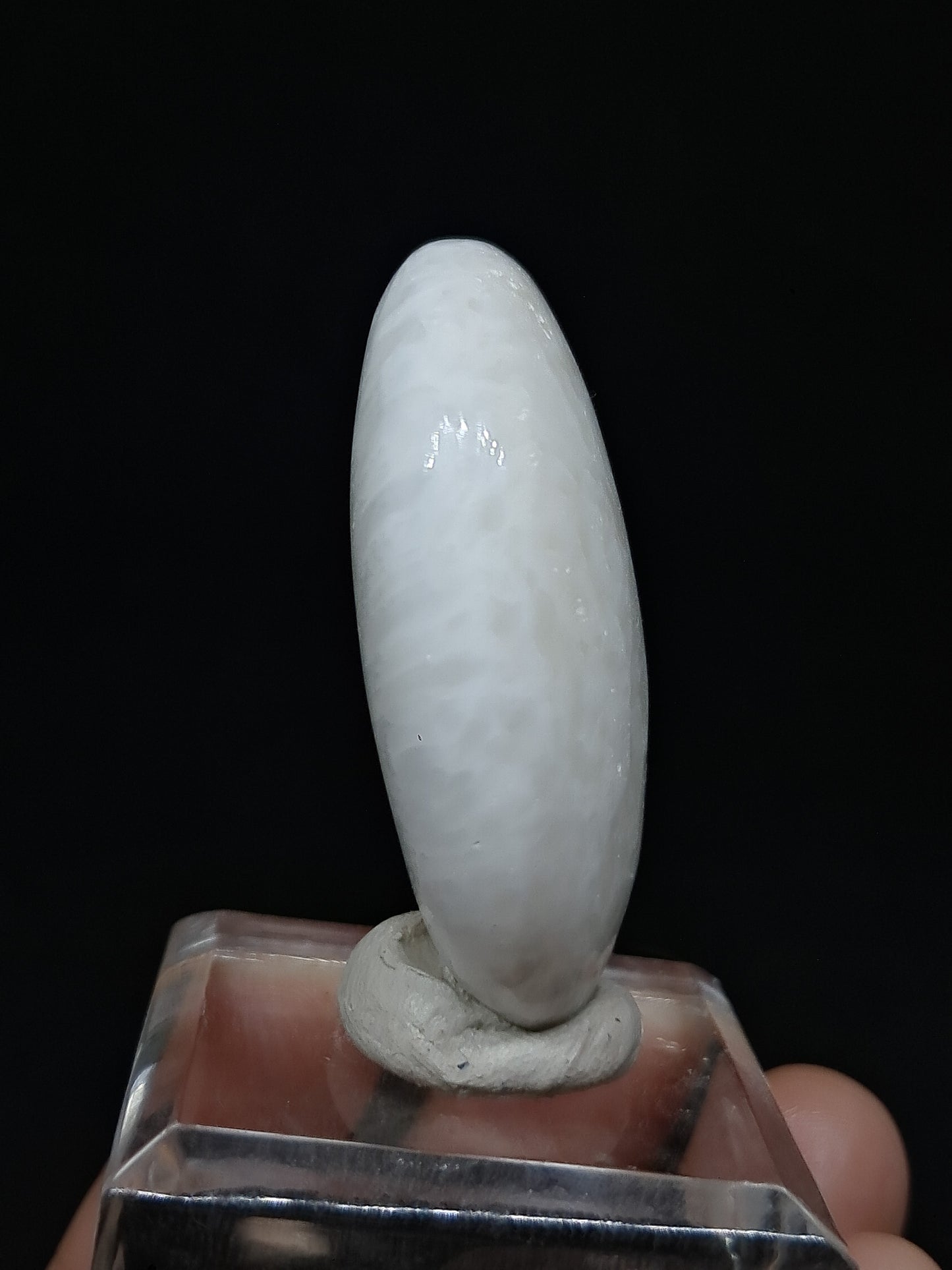 Scolecite Palmstone | Polished Natural Stone | Good Quality #SCL1