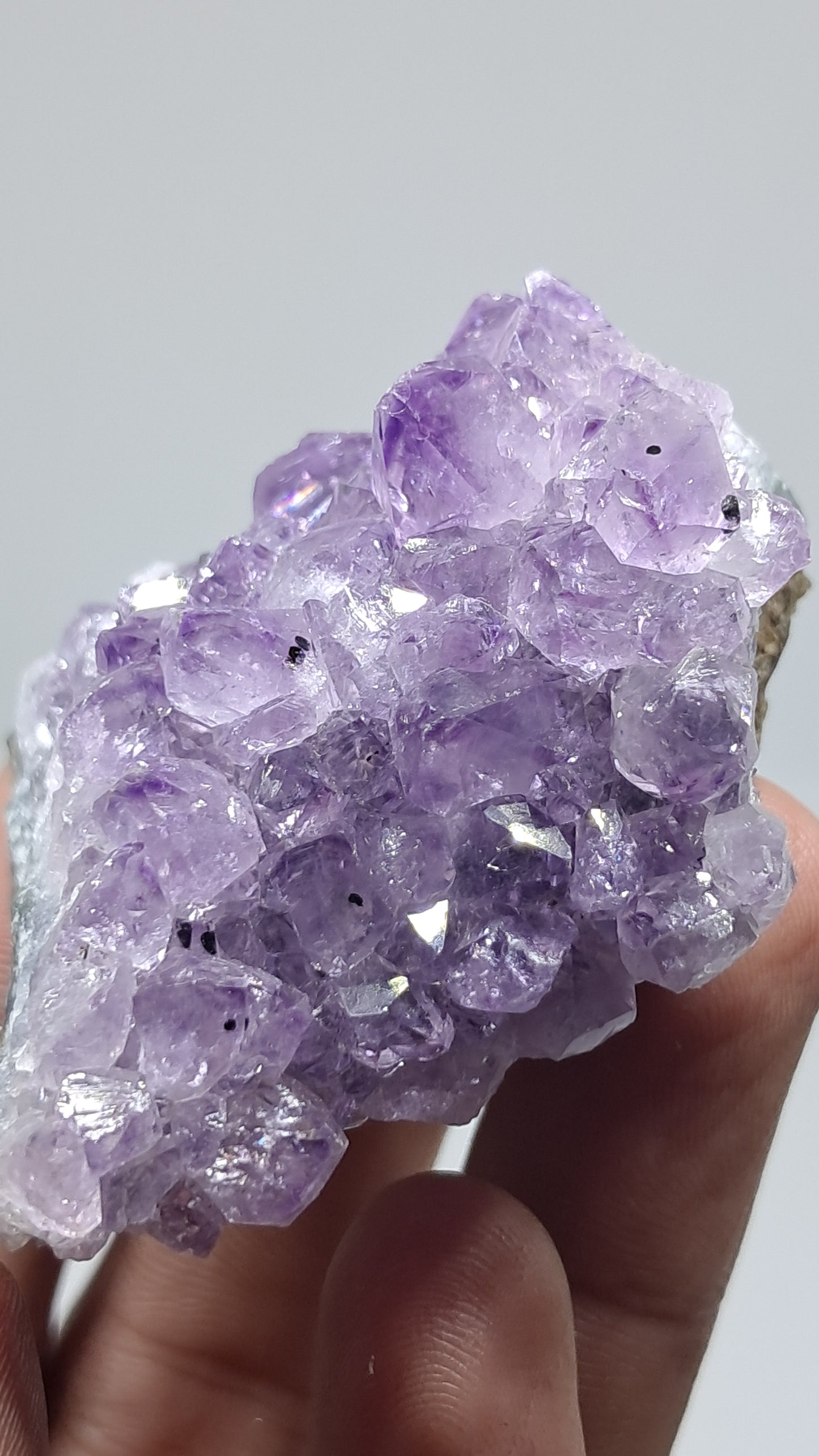 Amethyst Cluster (Brazil) | Natural Crystal | Mineral Specimen #AMB15