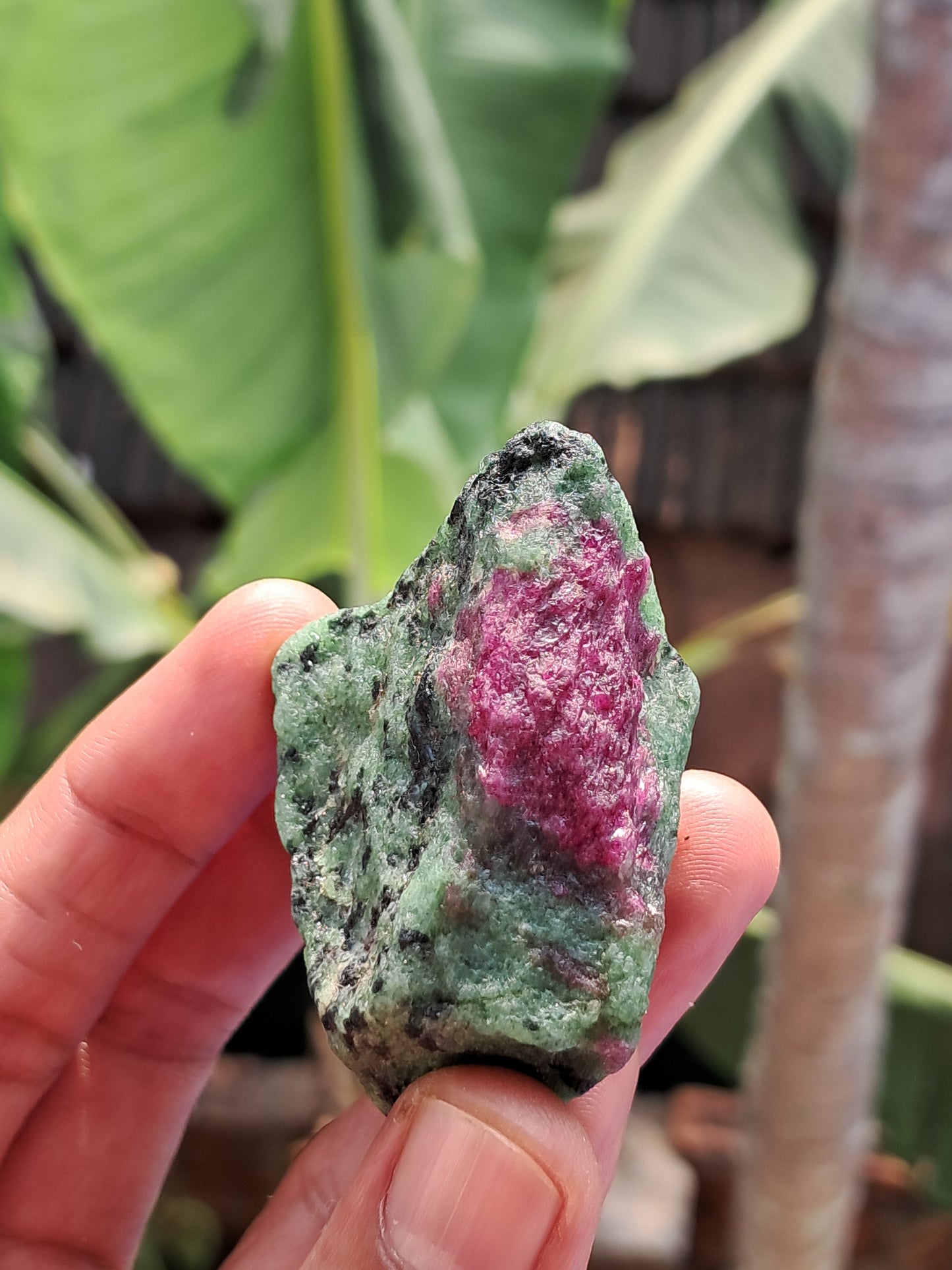 Ruby Zoisite w/ Hornblende (Tanzania) Rough Stone | Natural Specimen #RZ8
