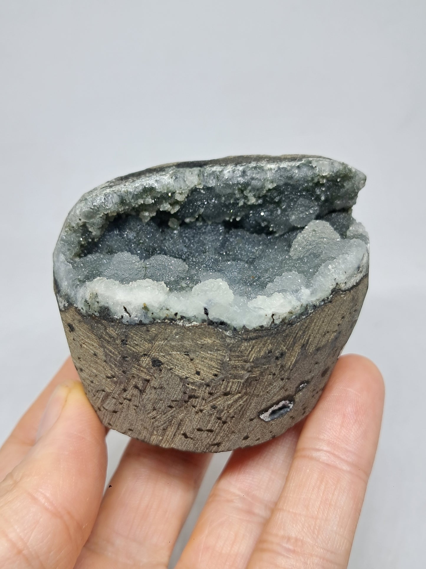 Botryoidal Black Chalcedony in Basalt Geode #BC9
