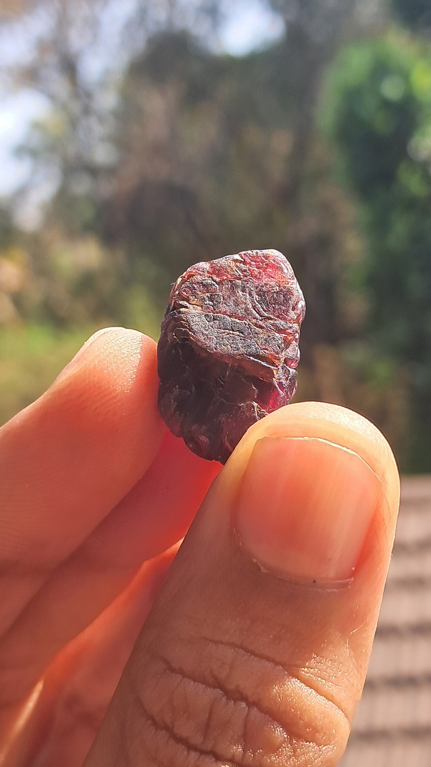 Granate rojo (Karur) | Pulido por el río | Piedra natural #RG9