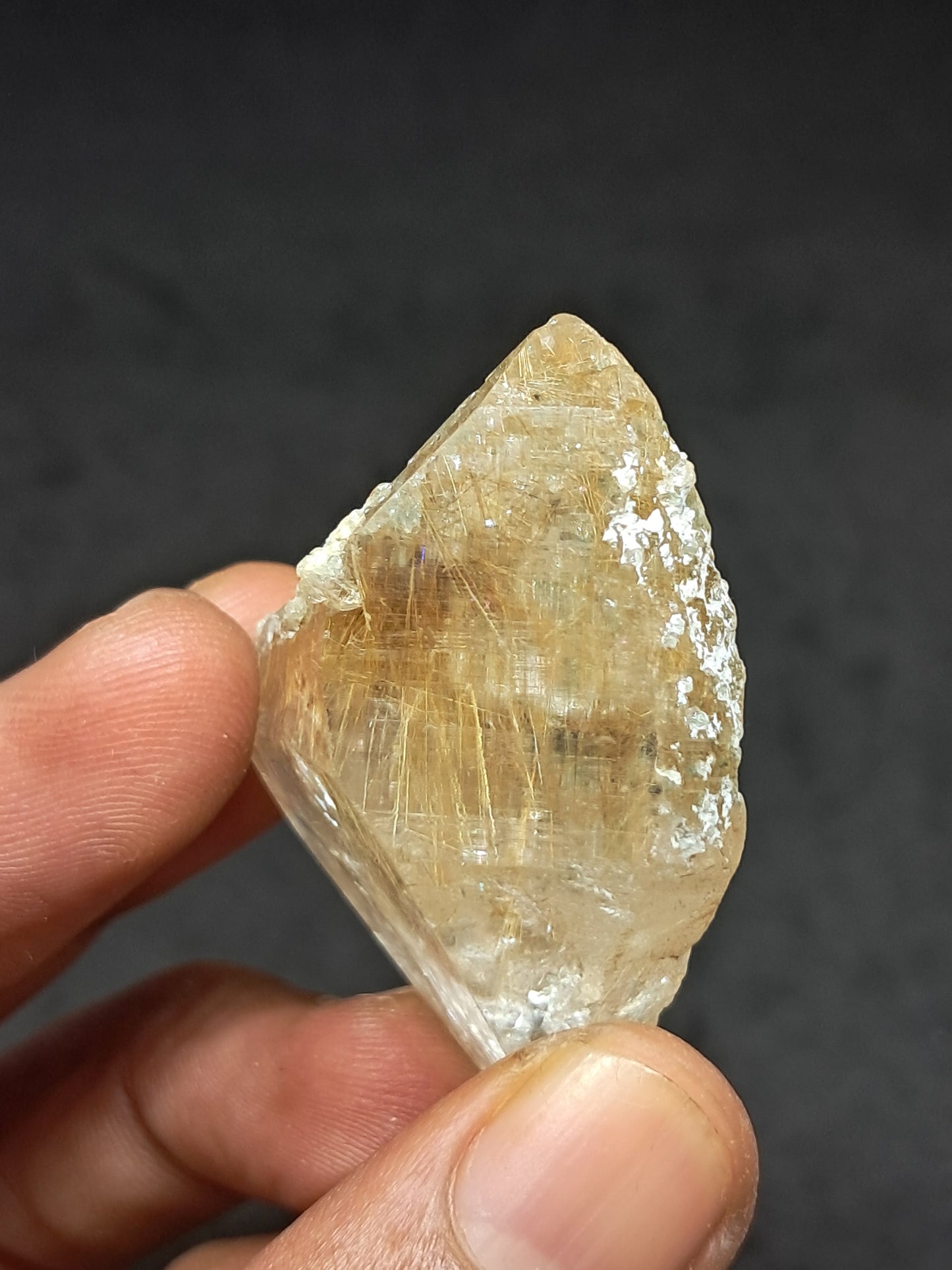 Himalayan Quartz w/ Golden Rutile and Chlorite (Himachal Pradesh) Self-healed |  Natural Crystal #CH60