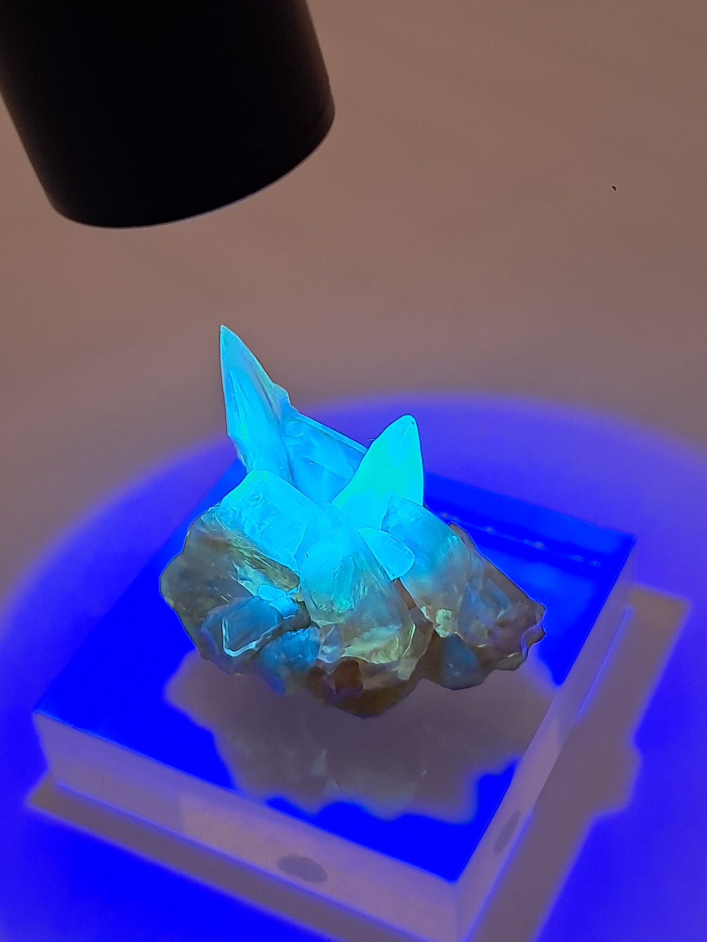 Calcita amarilla miel (Maharashtra) Formación de diente de perro | Cristal natural | Ejemplar mineral n.° CA25