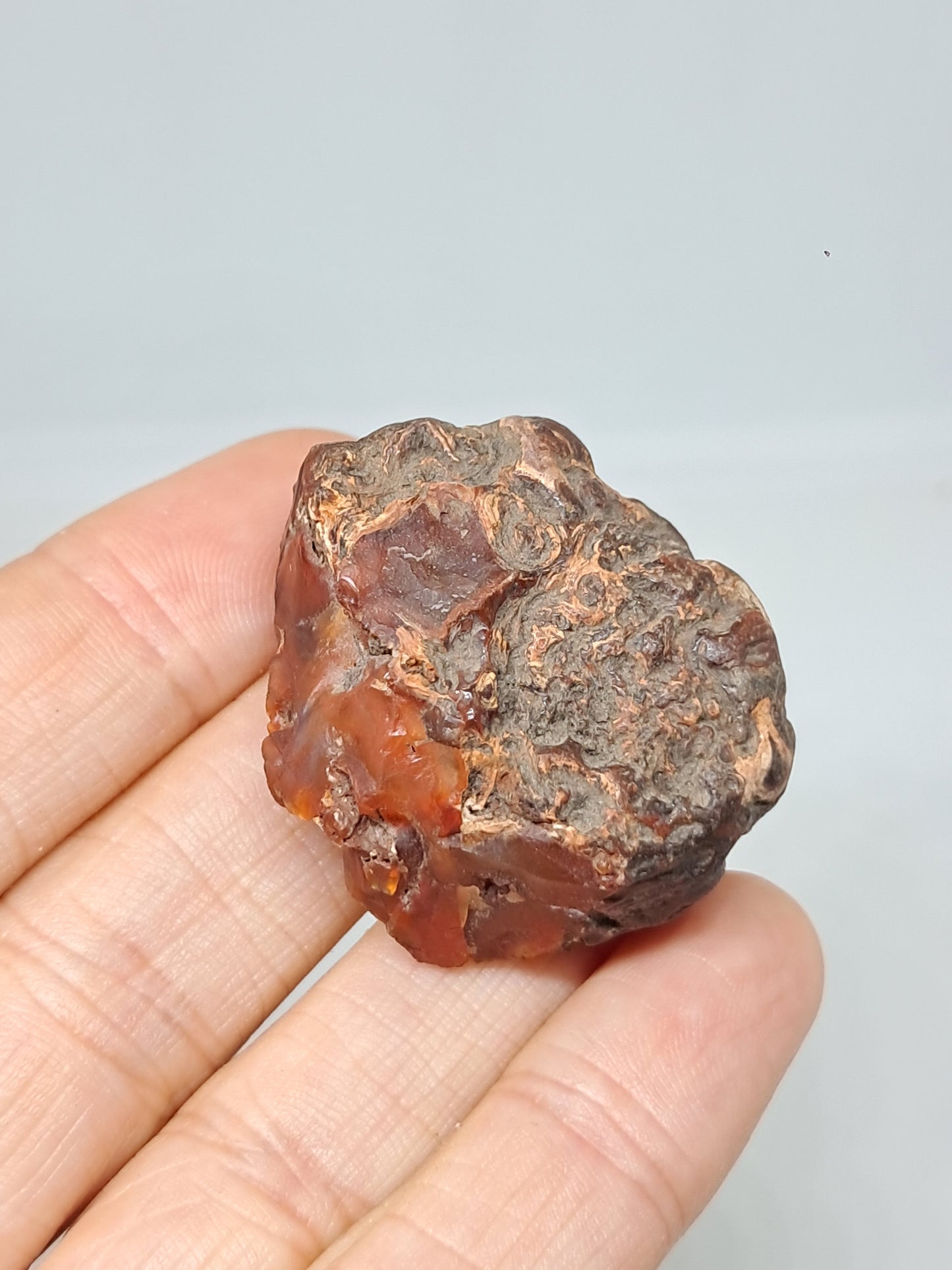 Cornalina en bruto (India) Piedra en bruto | Cristal natural | Muestra mineral #CRN36