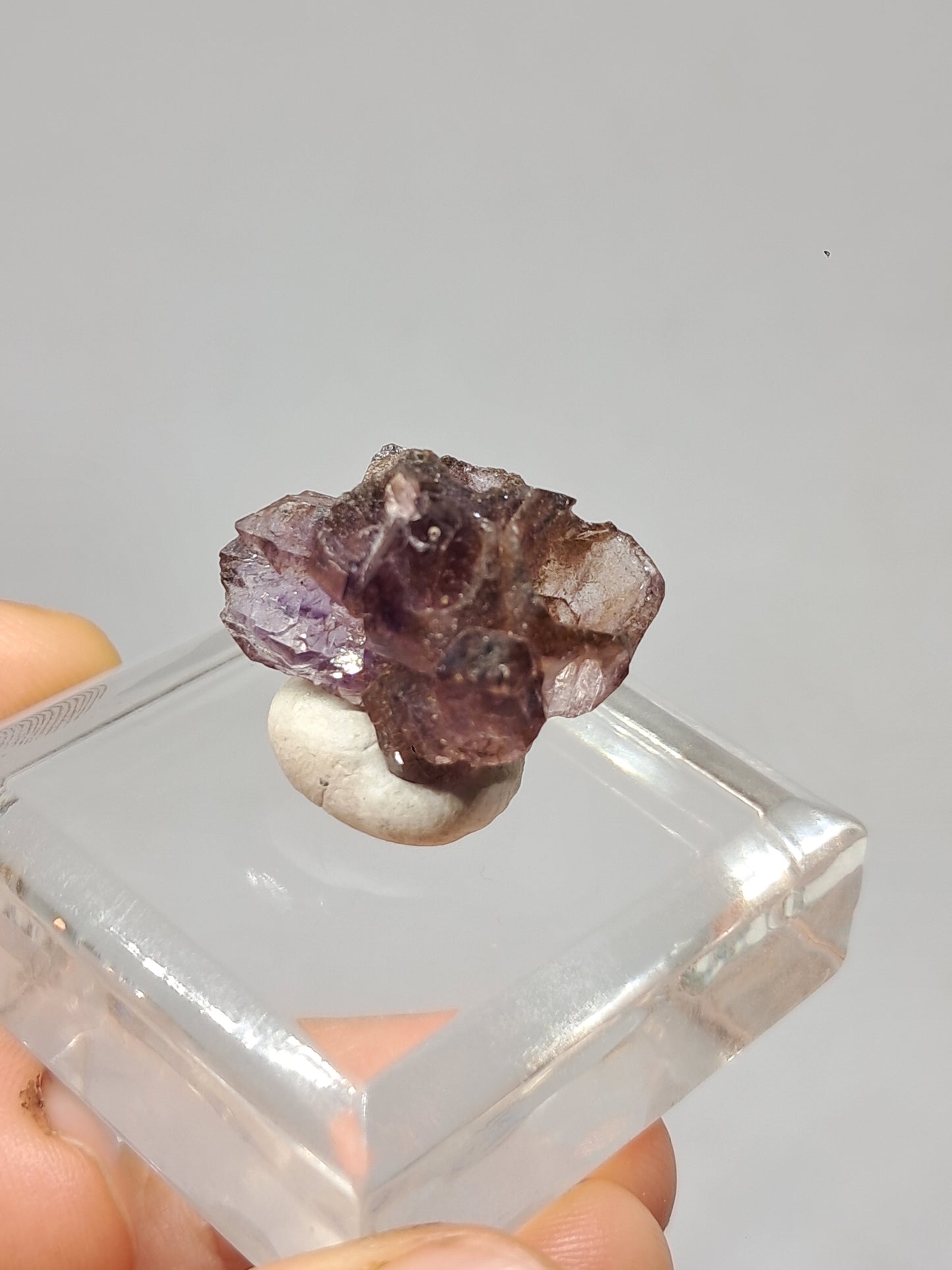 Cúmulo de amatista cetro con inclusiones Super Seven y formación de panal (Karur) | Cristal en bruto | Piedra natural | Ejemplar mineral n.° KA135