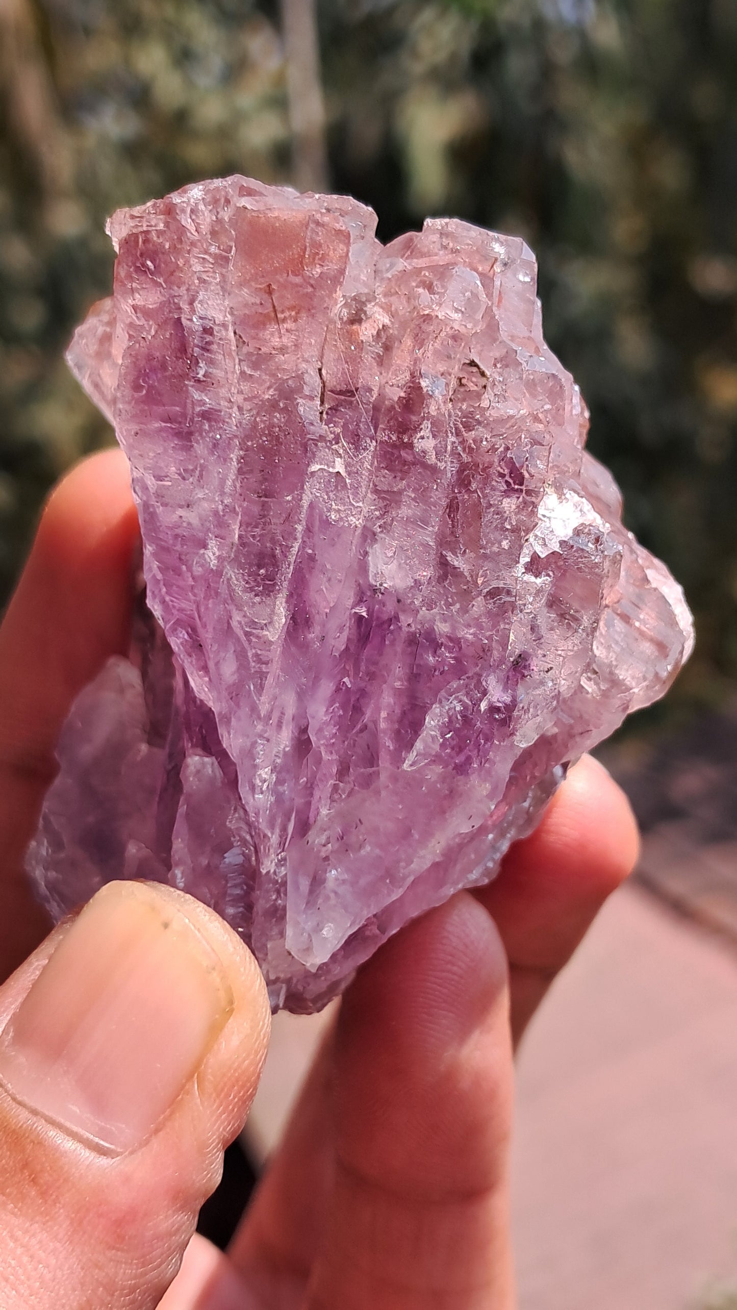 Karur Amethyst Scepter Cluster | Honeycomb Terminations | "Super Seven" inclusions | Mineral Specimen #KA186