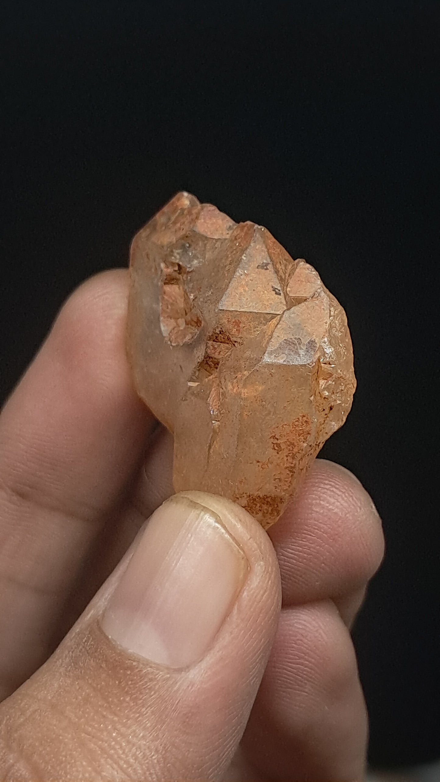 Elestial Quartz (Karur) Raw Natural Crystal | Mineral Specimen #EQ25