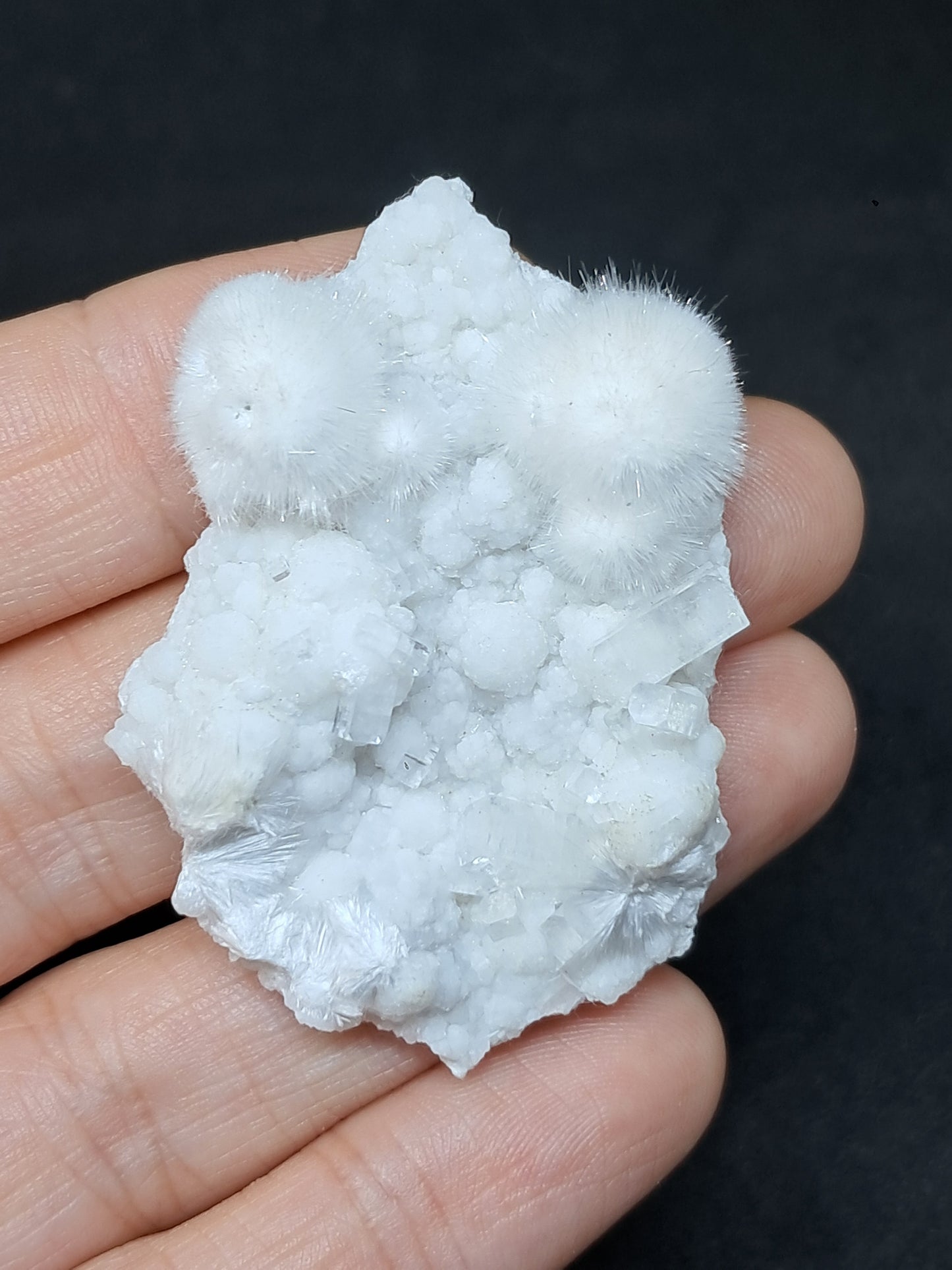 Okenite w/ Gyrolite and Apophyllite Cluster (Mumbai) Mineral Specimen | Collector Grade | Natural Crystal #OK27