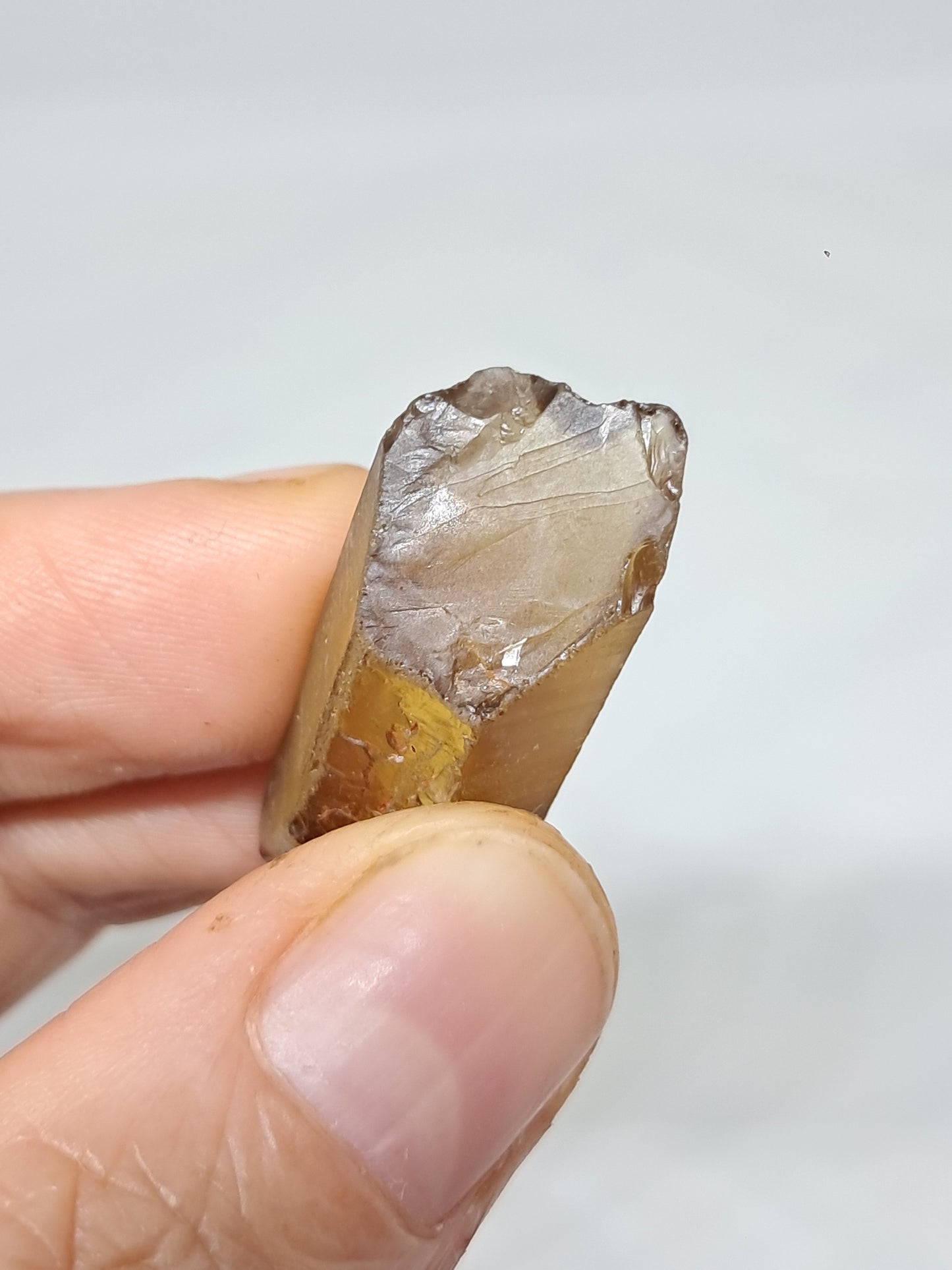 Natural Citrine Crystal Point (Democratic Republic of Congo) #CTN31