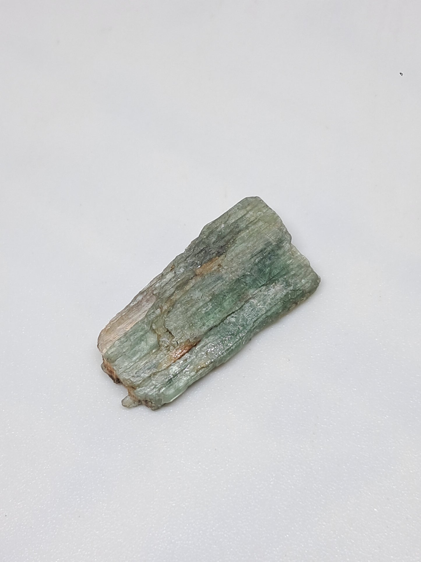 Green Kyanite (Tamil Nadu) Natural Crystal #KY8