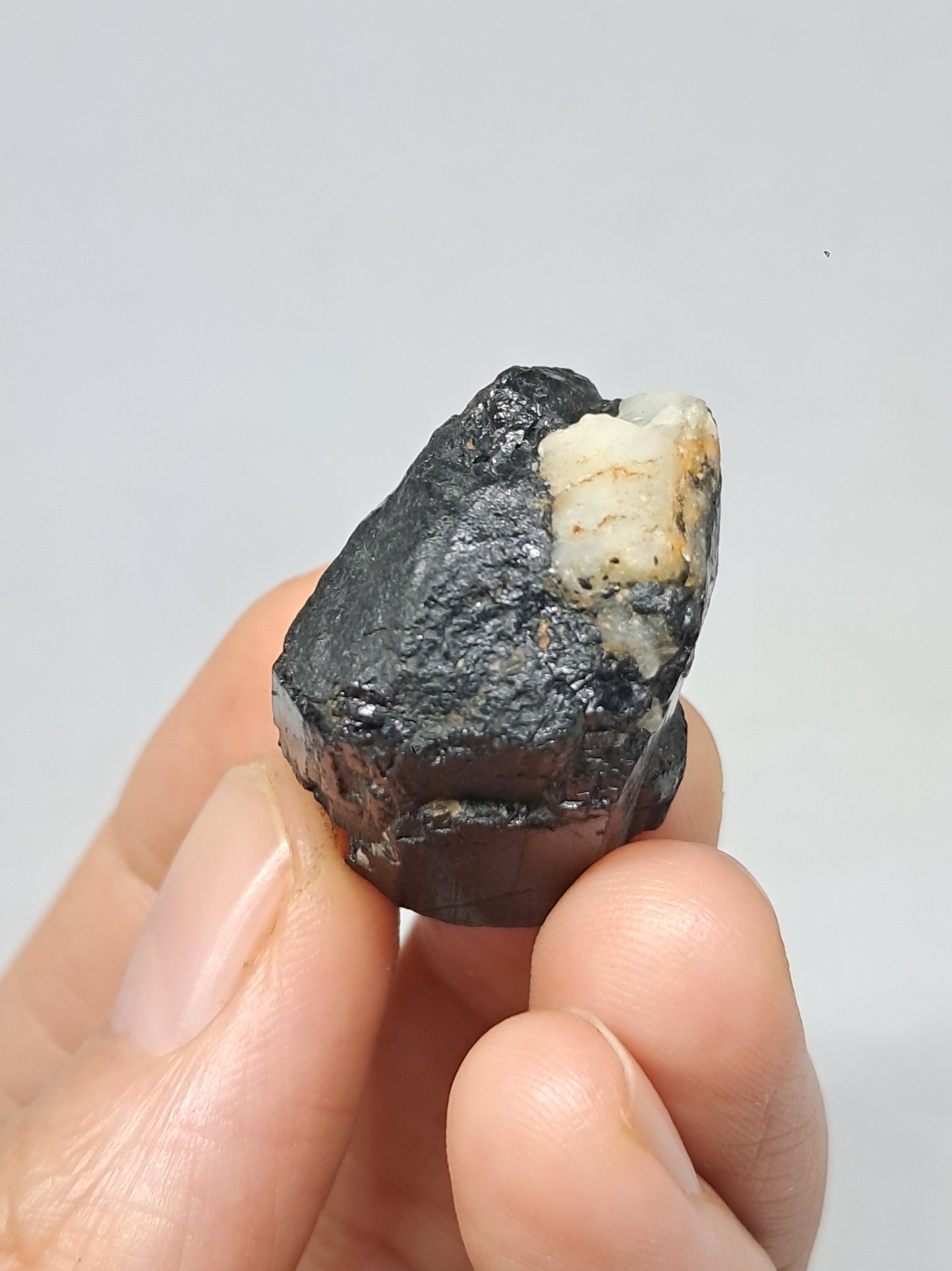 Black Tourmaline Crystal (Karnataka) Natural Stone | Mineral Specimen #BT9