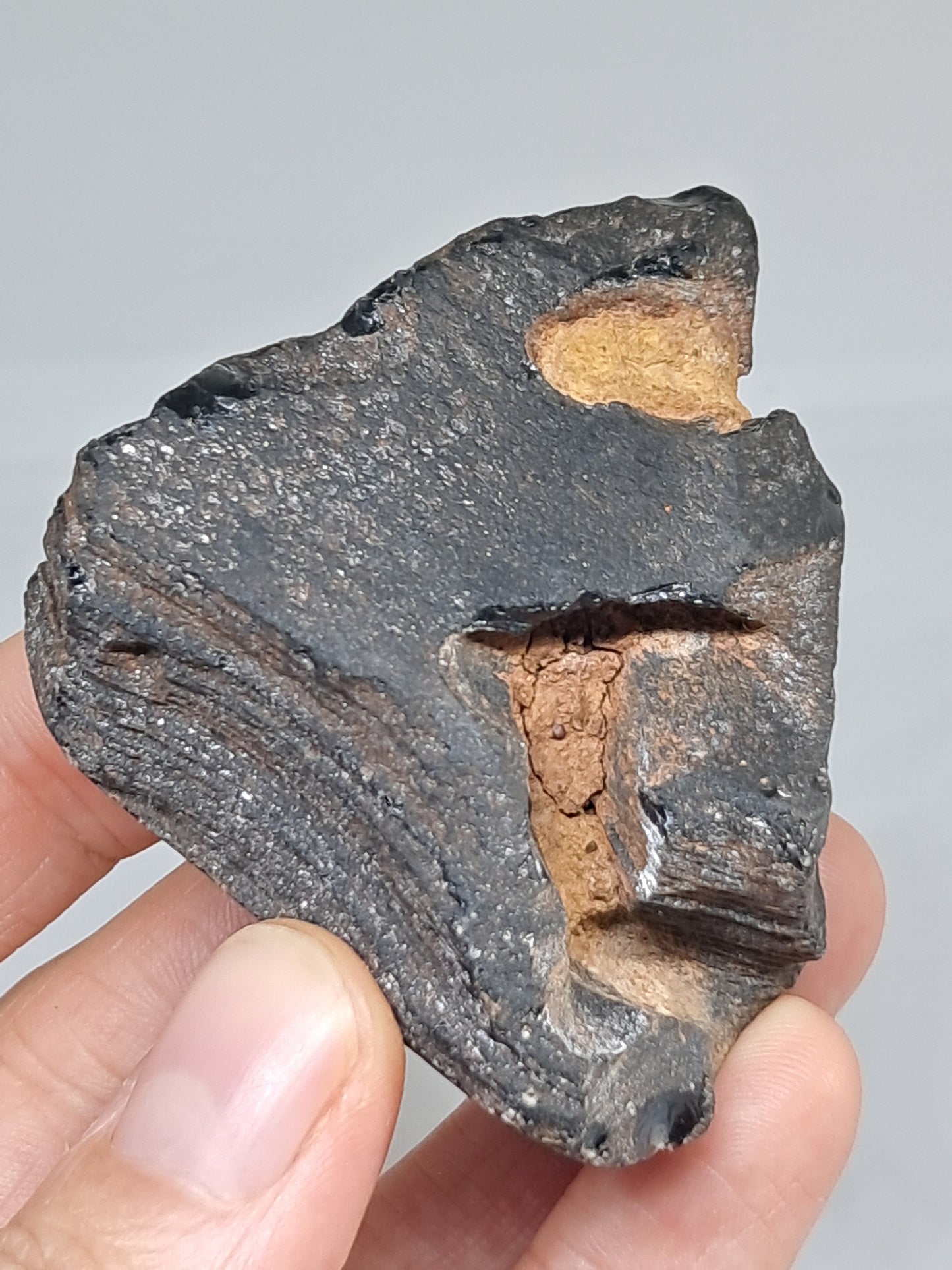 Rainbow Obsidian (Mexico) Natural Stone | Half Polished Half Rough #RO9