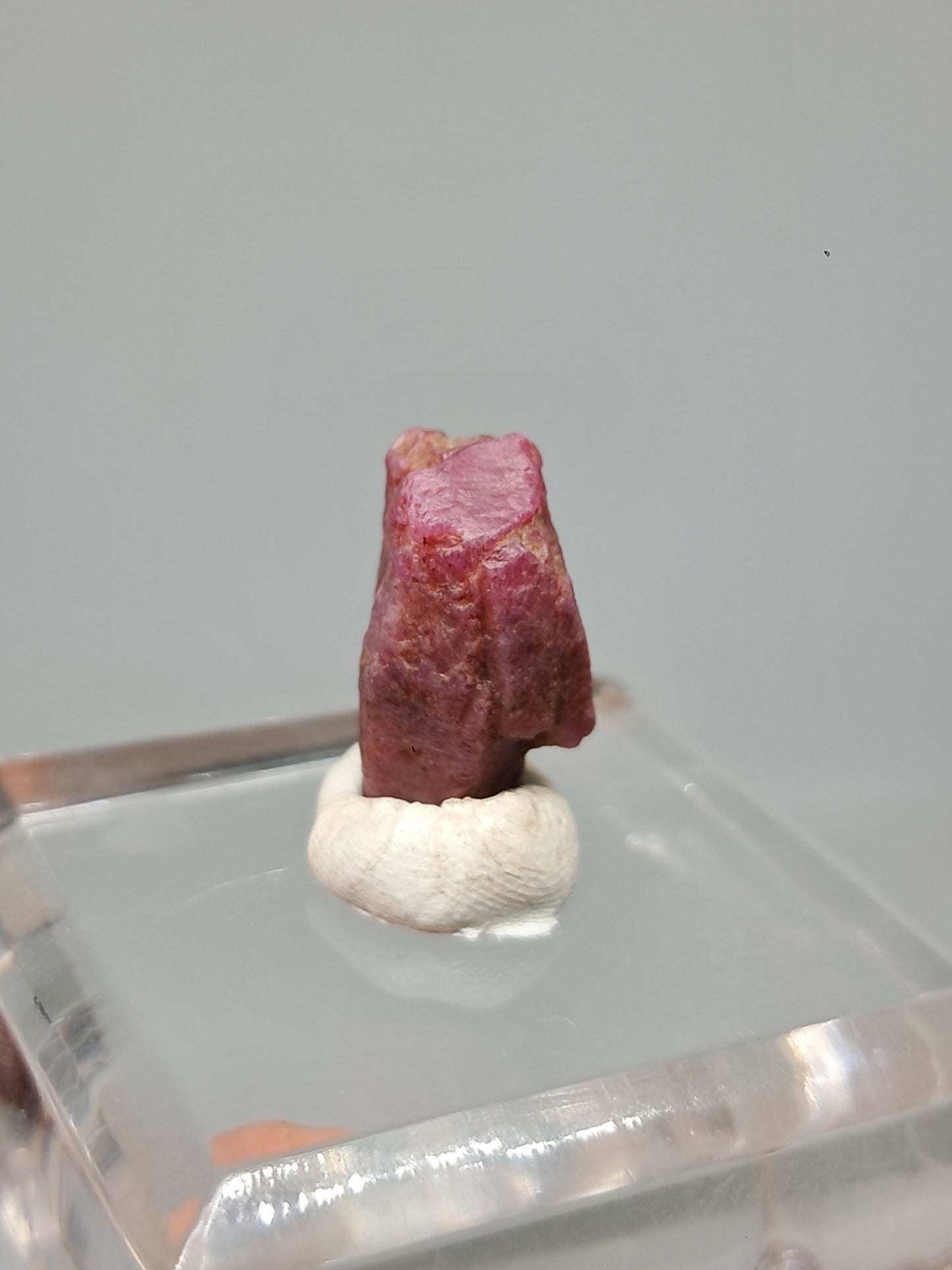 Cristal de rubí en bruto (Tamil Nadu) Piedra natural | Muestra mineral #RB22