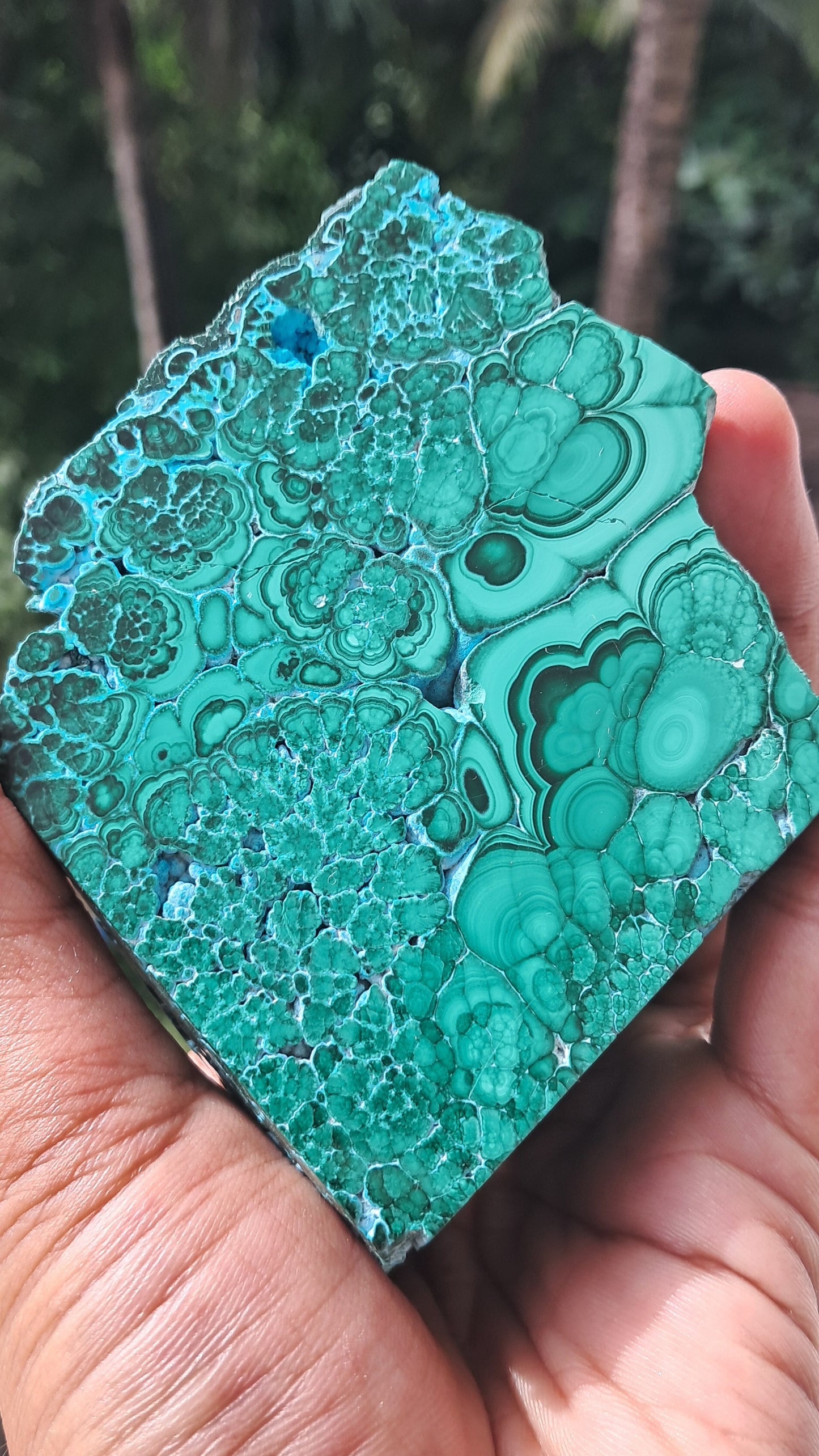Malachite w/ Chrysocolla | Half Polished Half Rough | Natural Stone | Large Size | Beautiful Patterns #CM27