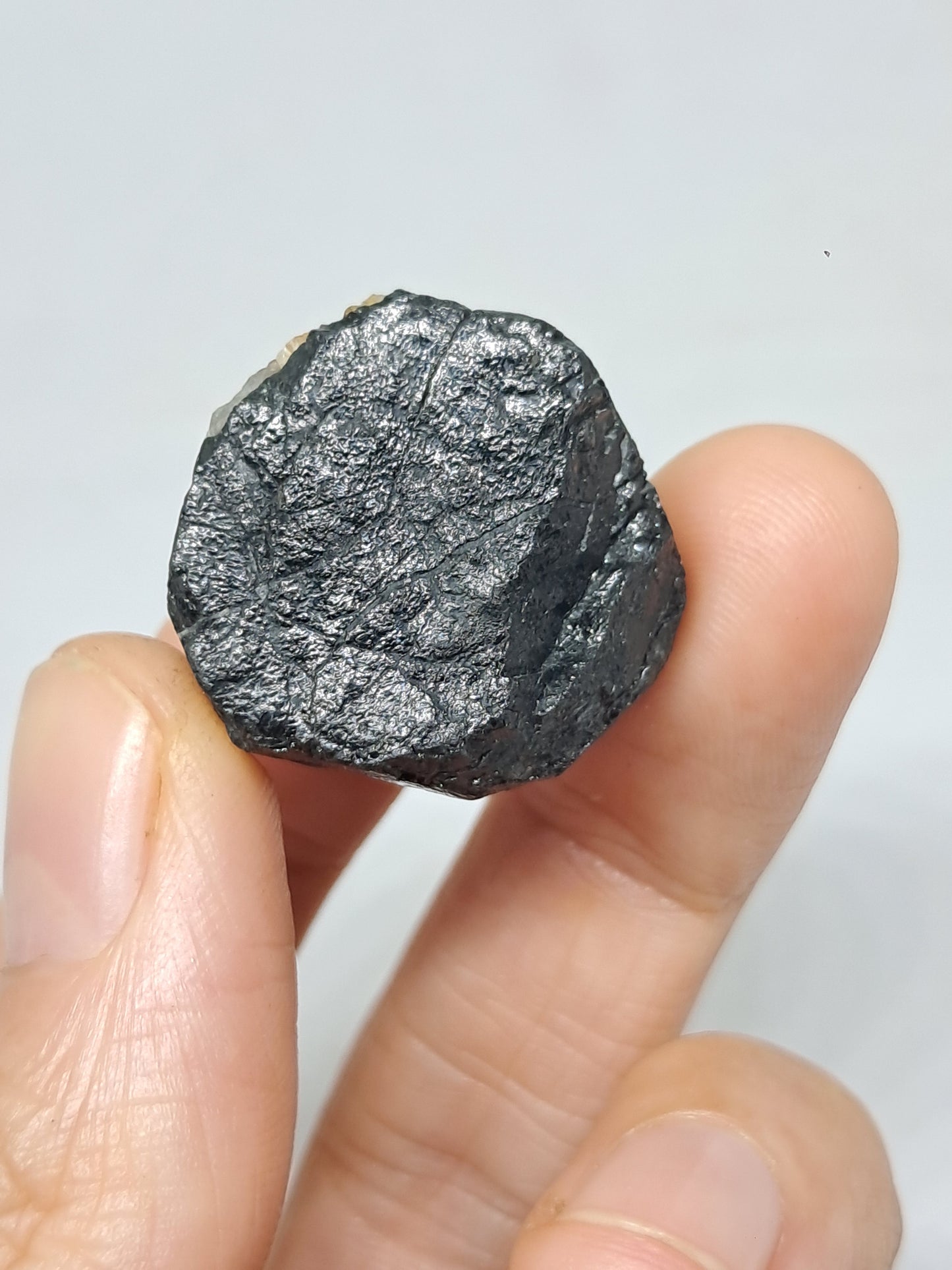 Black Tourmaline Crystal (Karnataka) Naturally Terminated | Natural Stone | Mineral Specimen #BT8