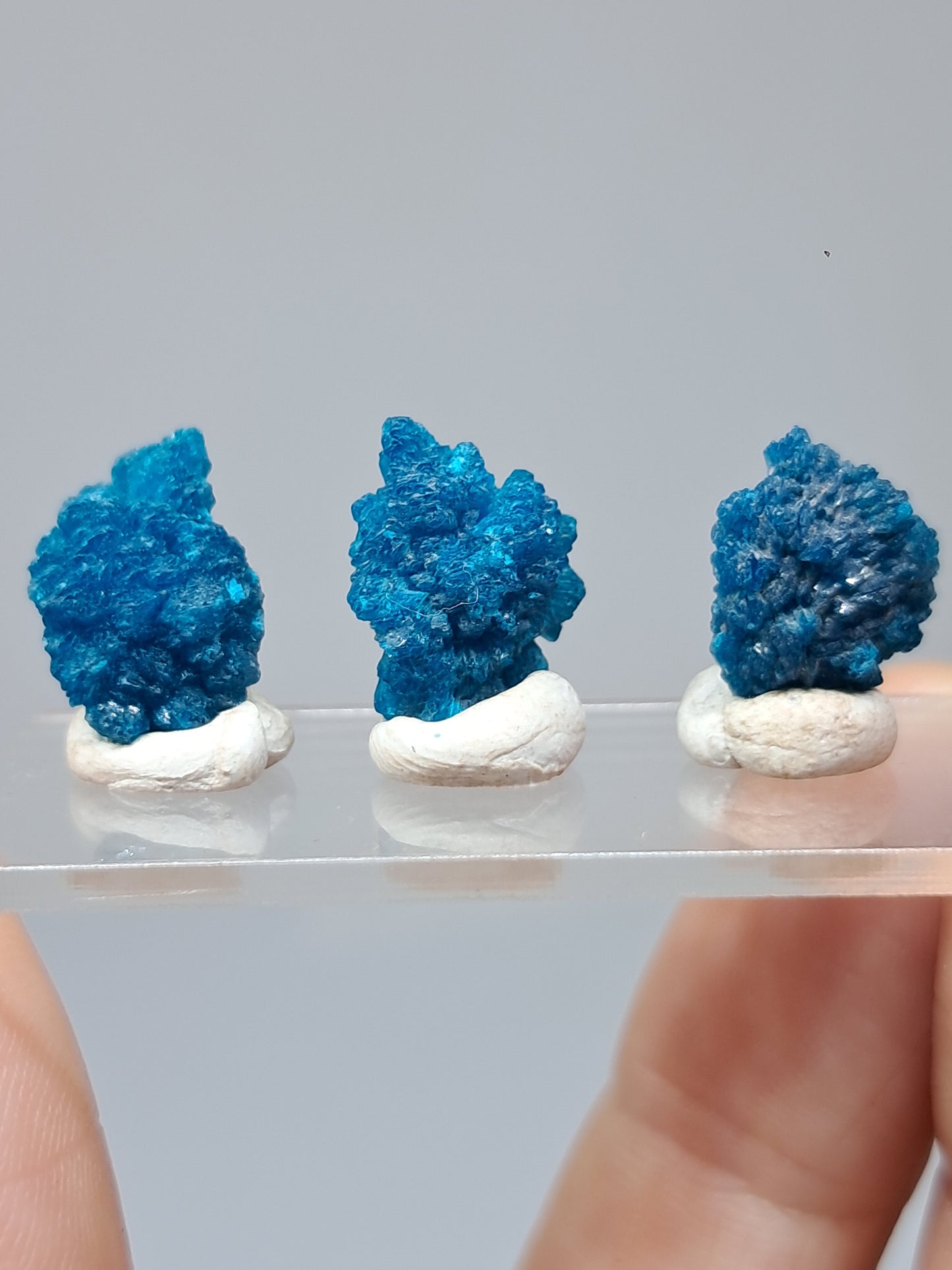 Juego de 3 flores de cavansita de alta calidad (wagholi) en bruto | Cristal natural | Ejemplar mineral raro n.° CV44