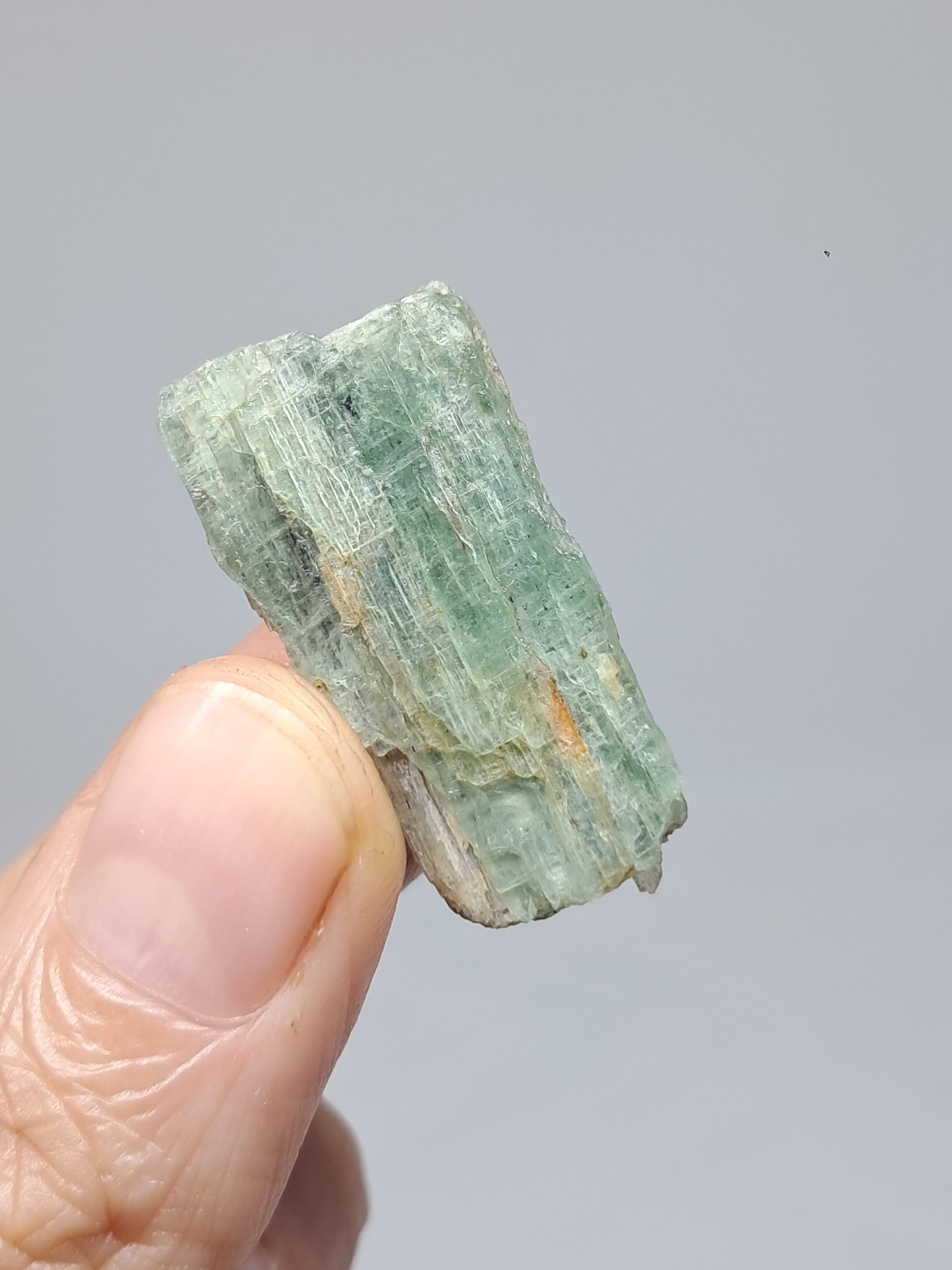 Green Kyanite (Tamil Nadu) Natural Crystal #KY8
