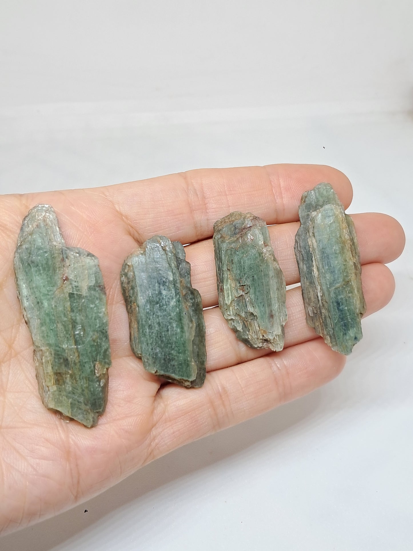 Set of 4 Green Kyanites (Tamil Nadu) Natural Crystals #KY10