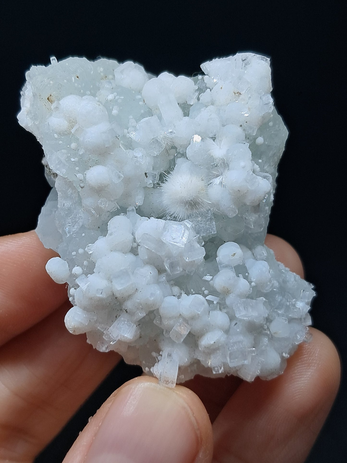 Okenite w/ Gyrolite and Apophyllite Cluster on Prehenite Matrix (Mumbai) Mineral Specimen | Collector Grade | Natural Crystal #OK46