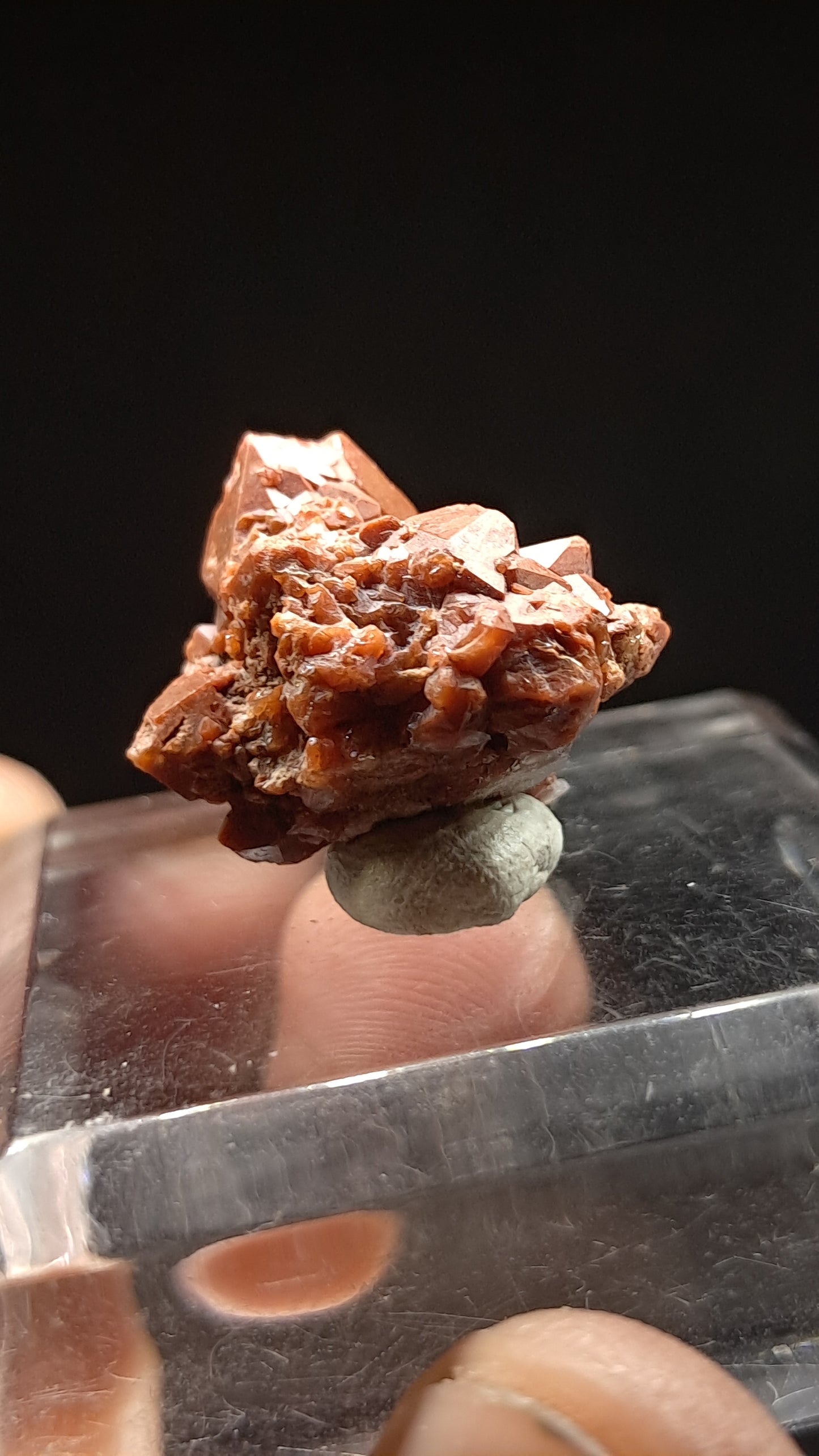 Jacinto de Compostela Quartz On Matrix | Natural Crystal | Mineral Specimen #JCQ4