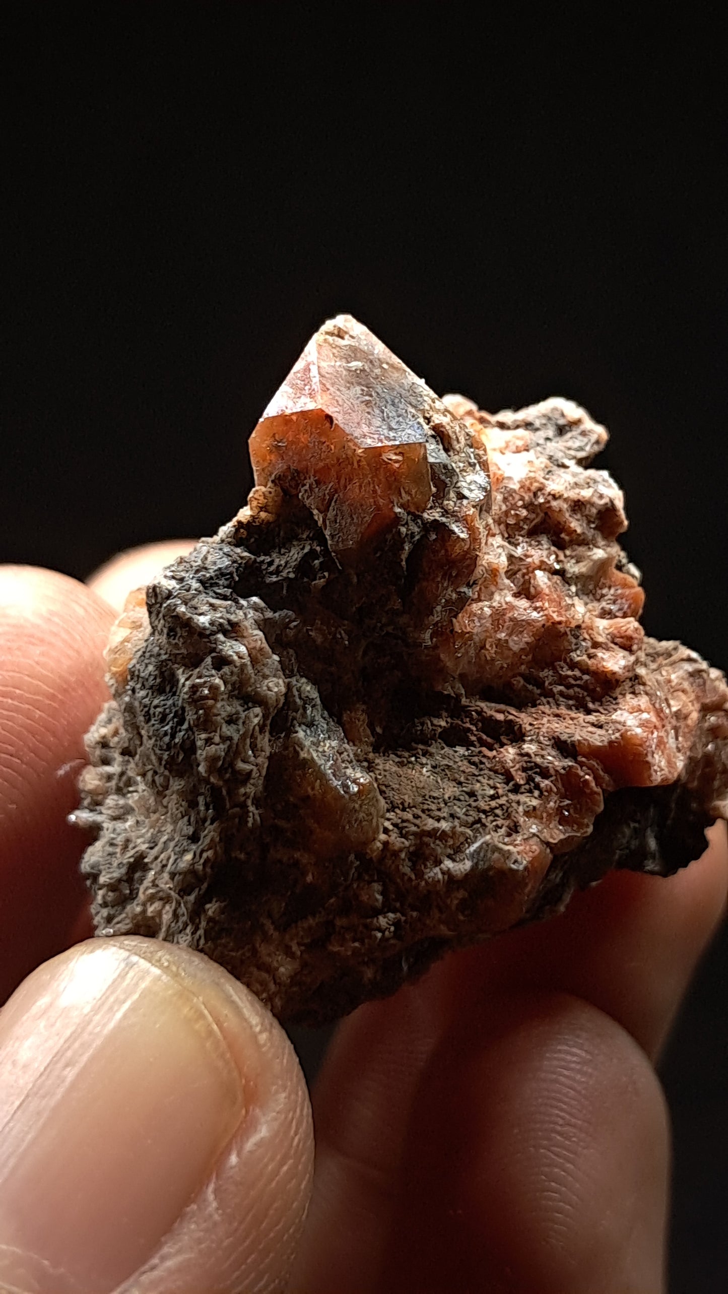 Jacinto de Compostela Quartz On Matrix | Natural Crystal | Mineral Specimen #JCQ3