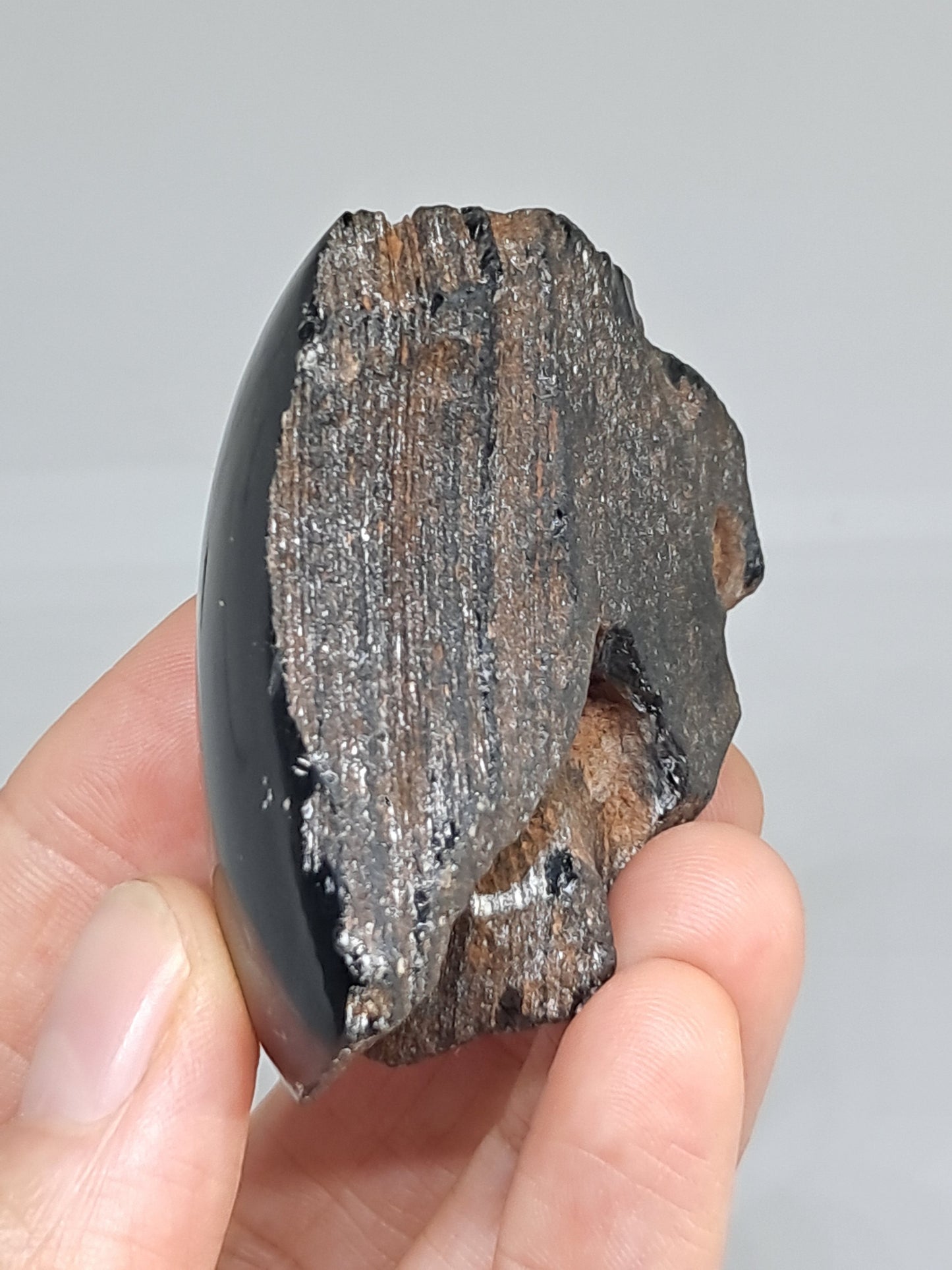 Rainbow Obsidian (Mexico) Natural Stone | Half Polished Half Rough #RO9