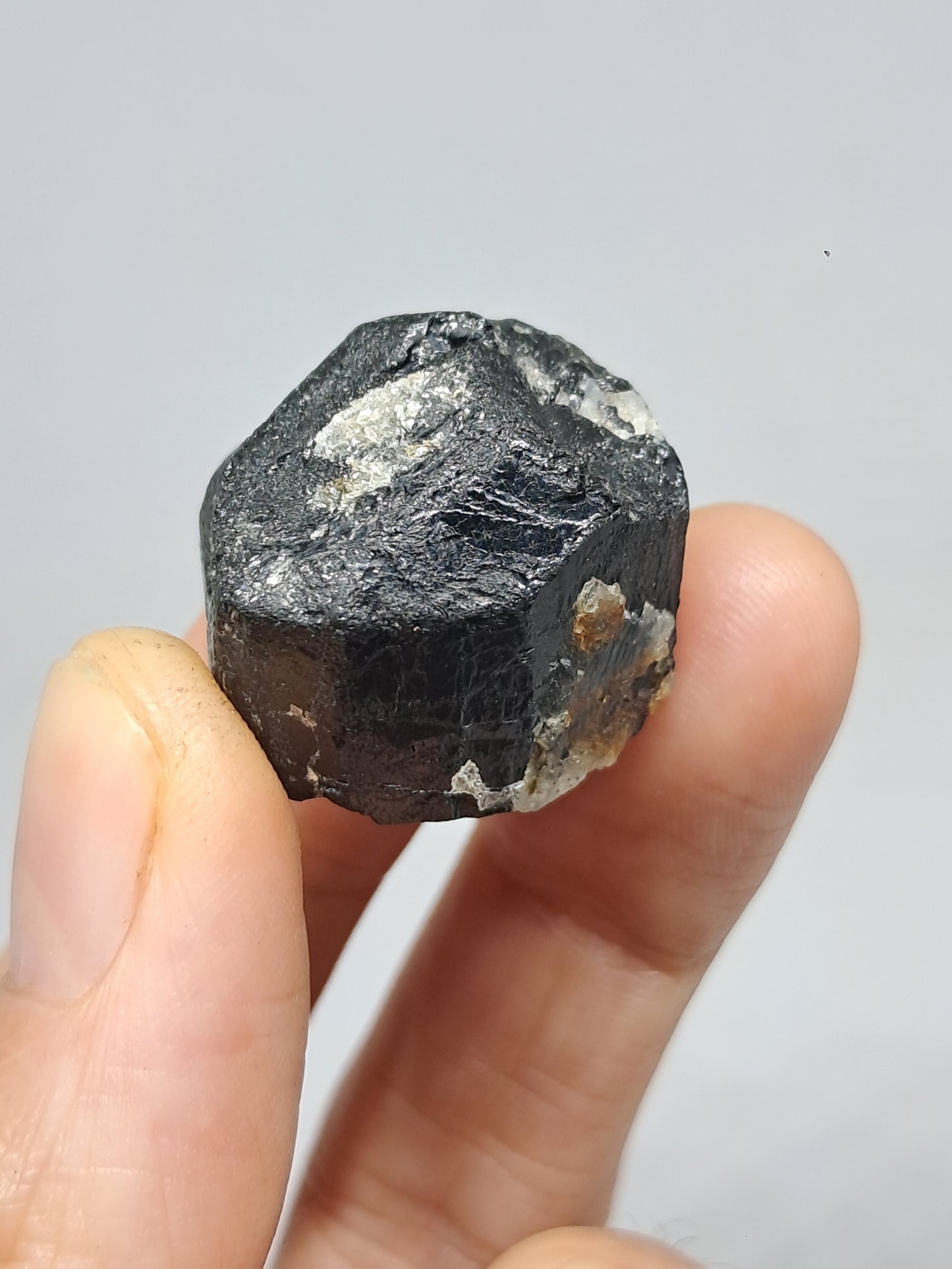 Black Tourmaline Crystal (Karnataka) Naturally Terminated | Natural Stone | Mineral Specimen #BT8