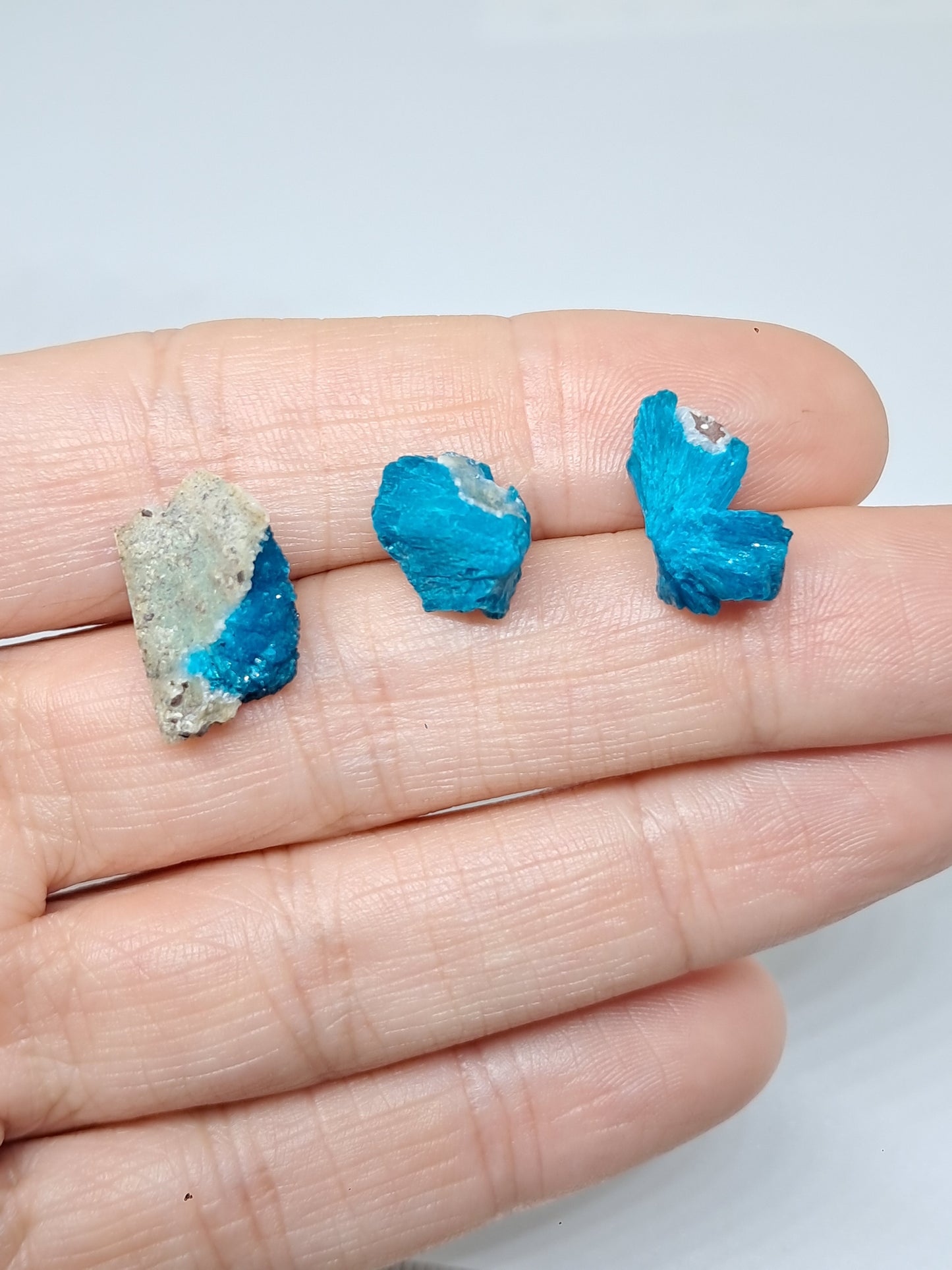 Conjunto de 3 cavansitas (wagholi) en bruto | Cristal natural | Ejemplar mineral raro n.° CV39