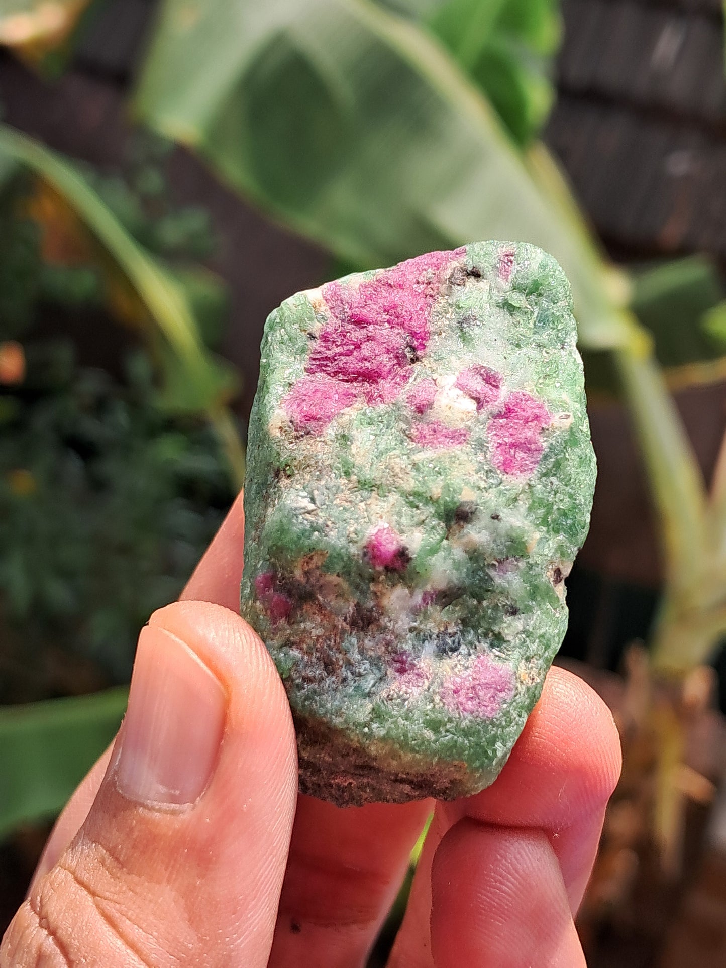 Ruby Zoisite w/ Hornblende (Tanzania) Rough Stone | Natural Specimen #RZ7